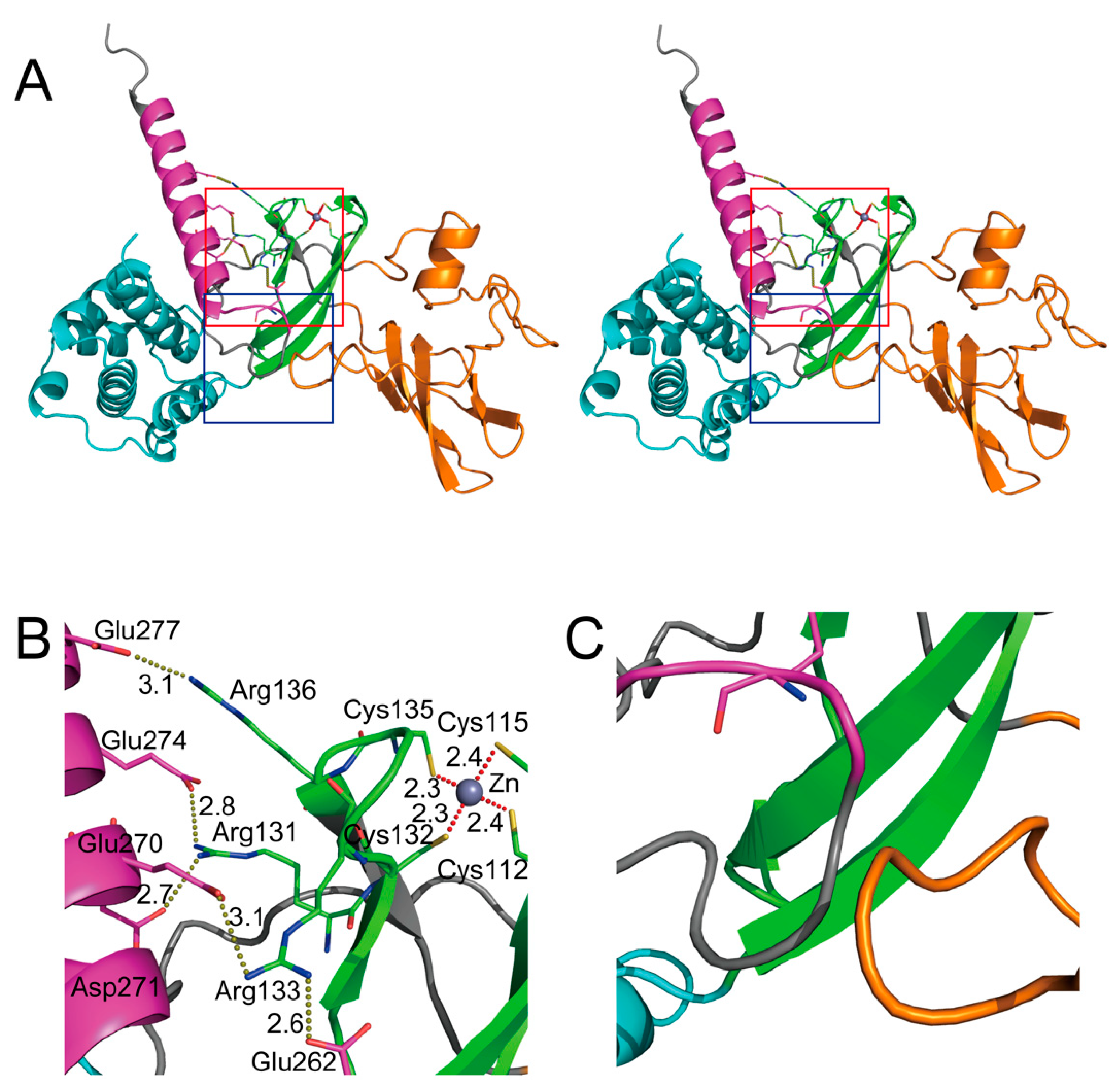 Ijms 23 12619 g003 Ijms 23 12619 g003