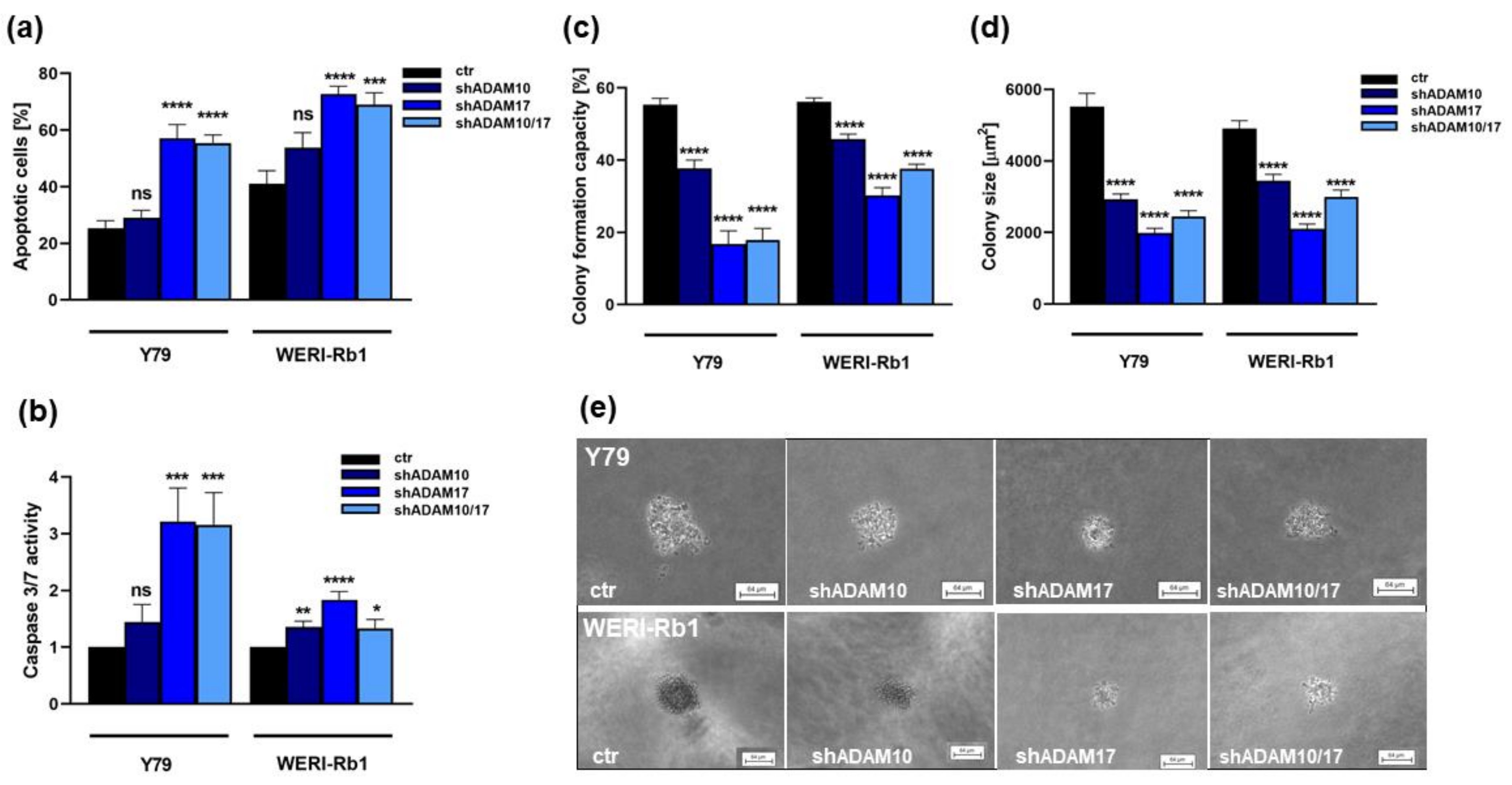 Ijms 23 12621 g005 Ijms 23 12621 g005