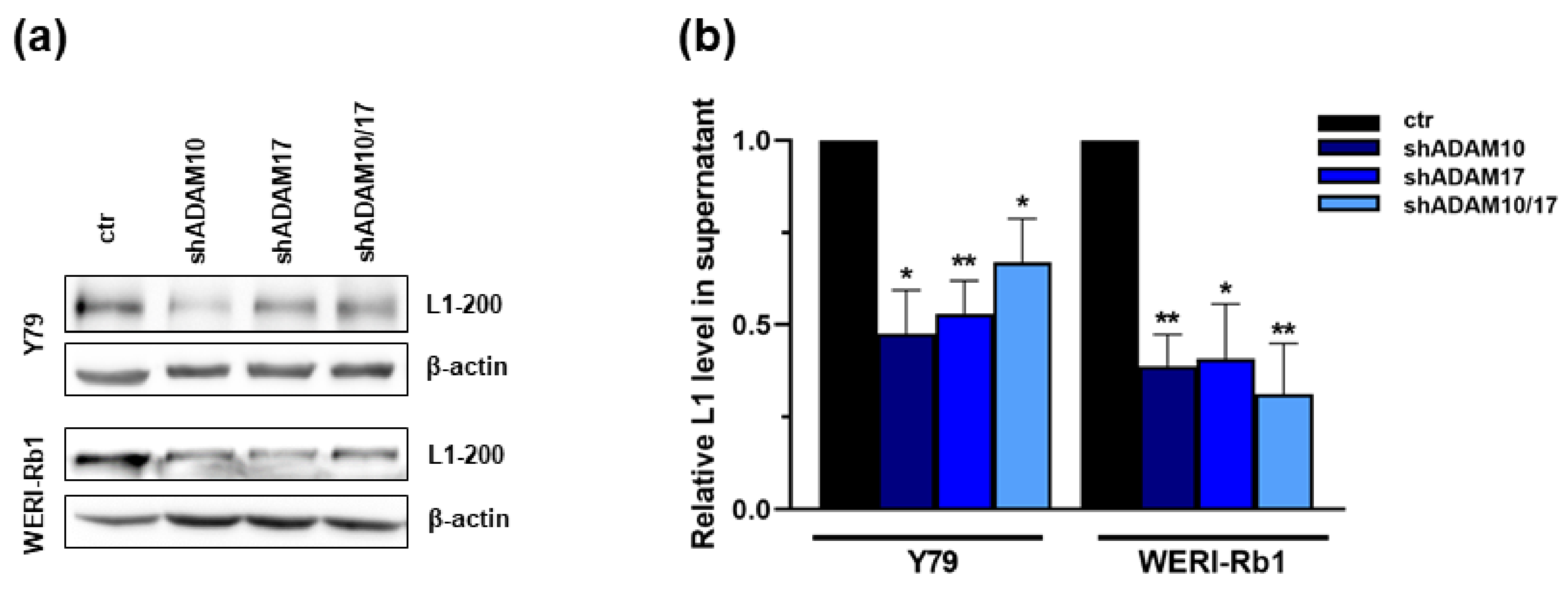 Ijms 23 12621 g008 Ijms 23 12621 g008