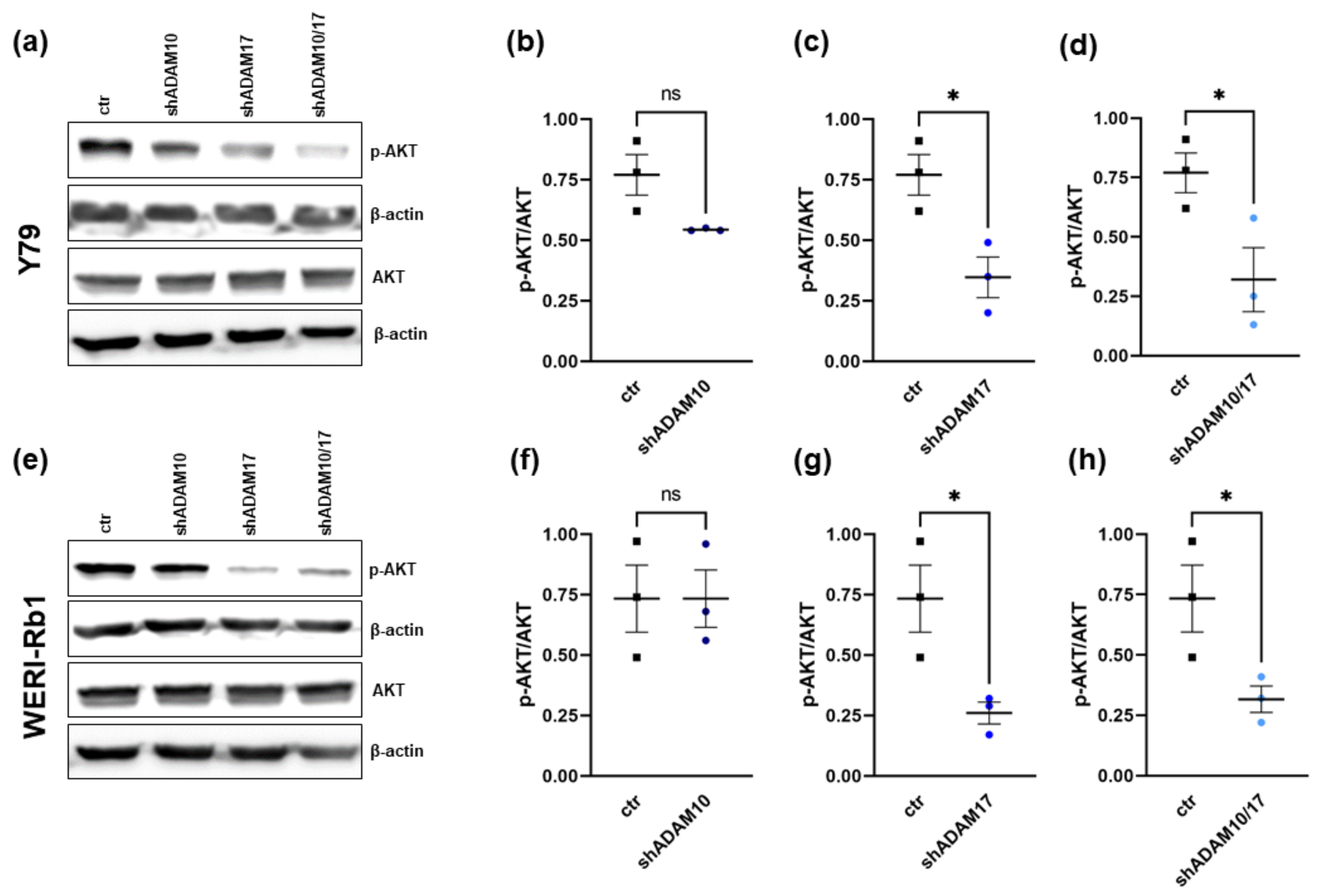Ijms 23 12621 g009 Ijms 23 12621 g009