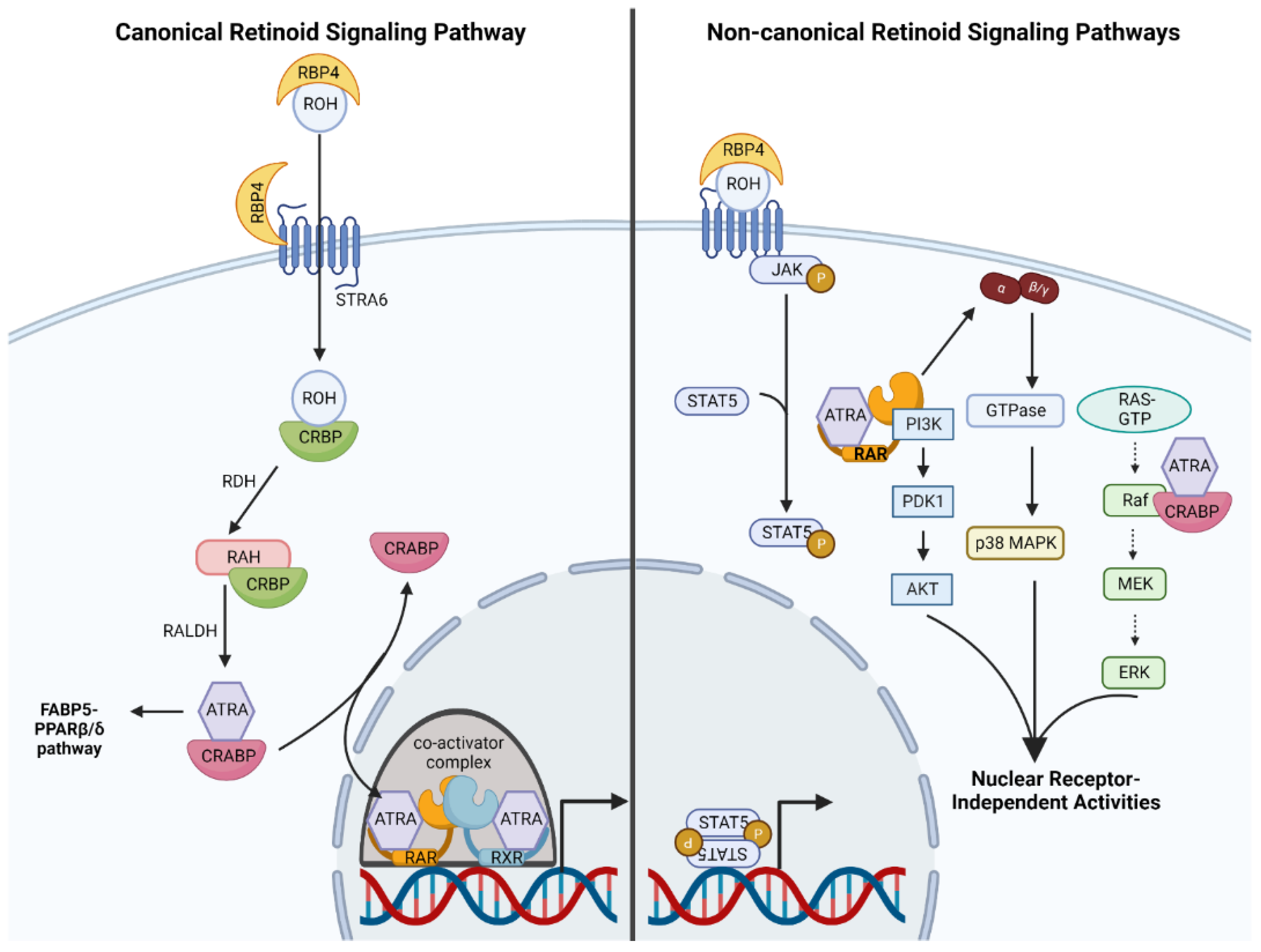 Ijms 23 12622 g002 Ijms 23 12622 g002