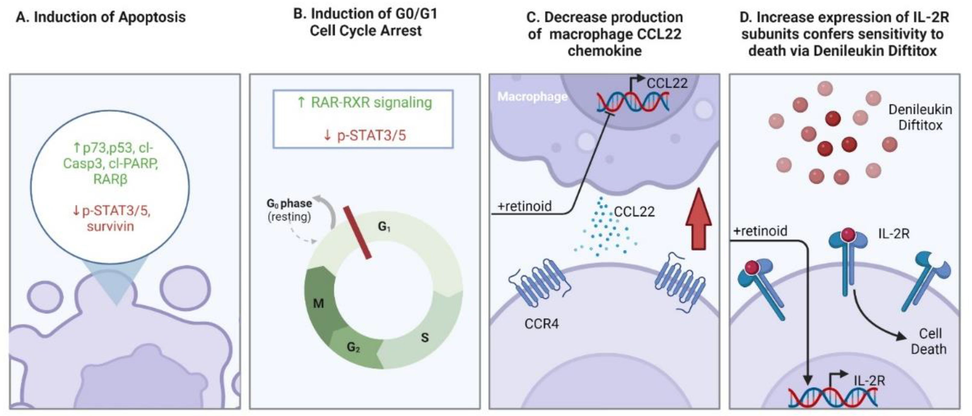 Ijms 23 12622 g005 Ijms 23 12622 g005