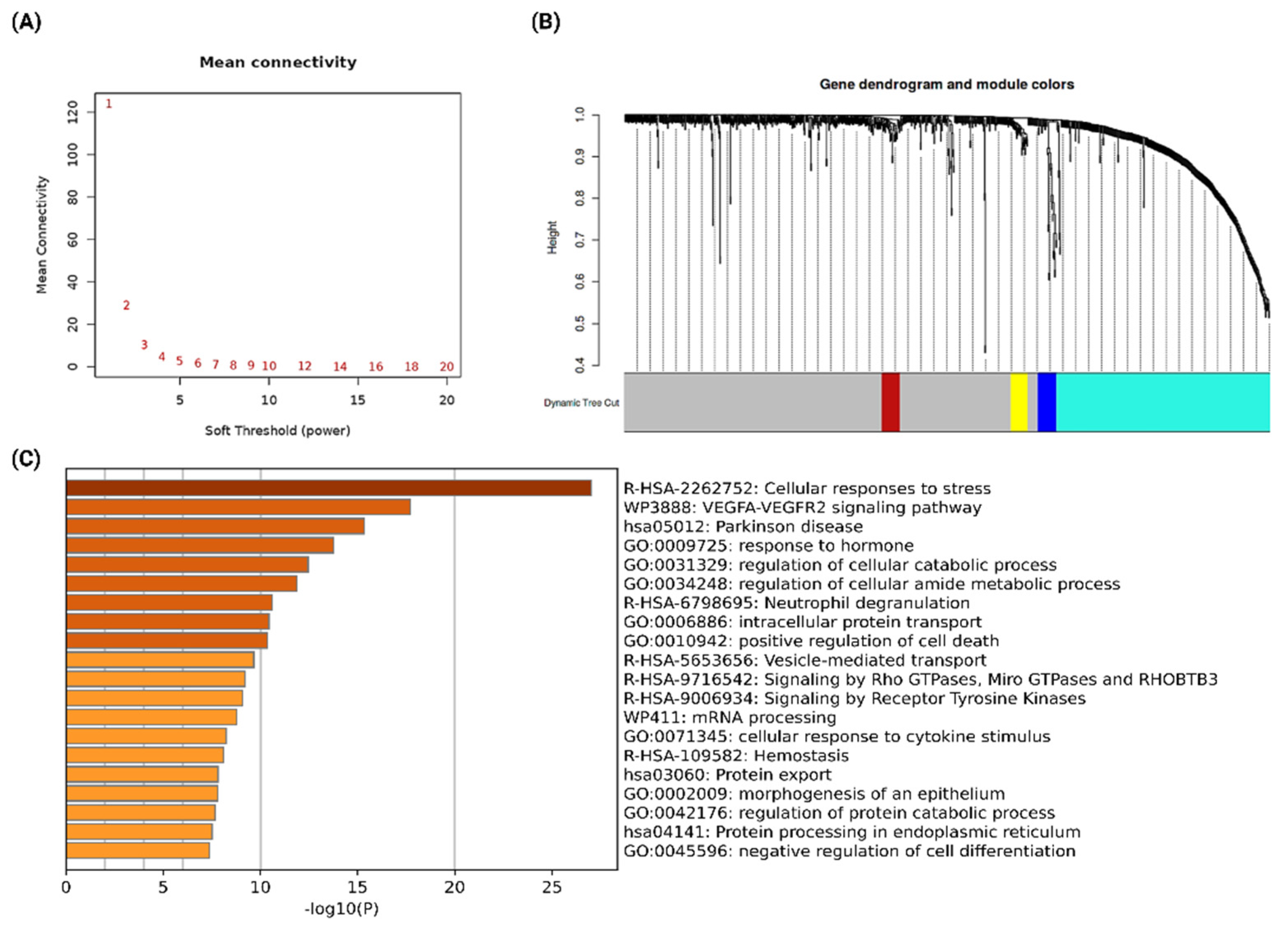 Ijms 23 12628 g002 Ijms 23 12628 g002