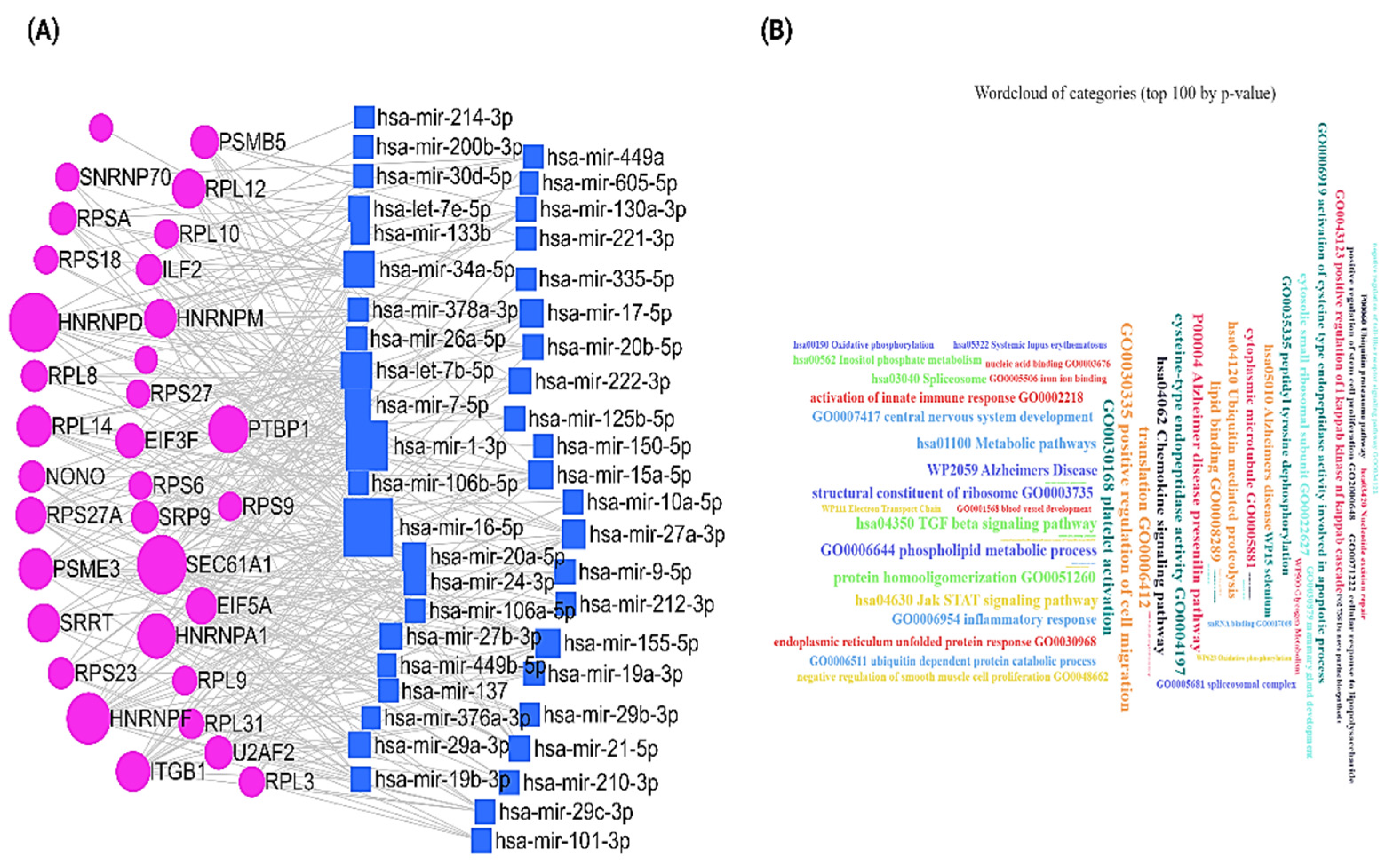 Ijms 23 12628 g004 Ijms 23 12628 g004