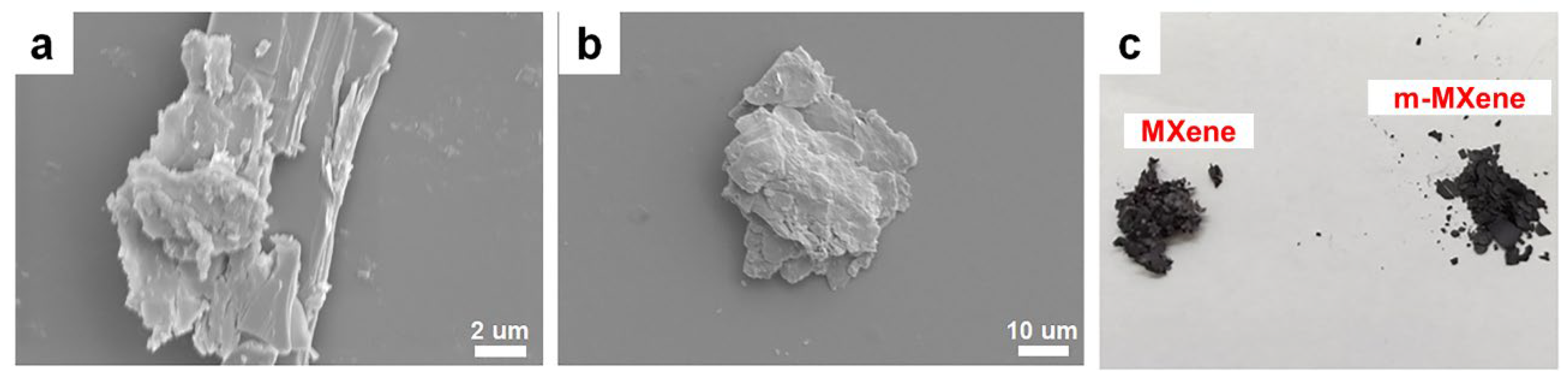 Ijms 23 12632 g001 Ijms 23 12632 g001