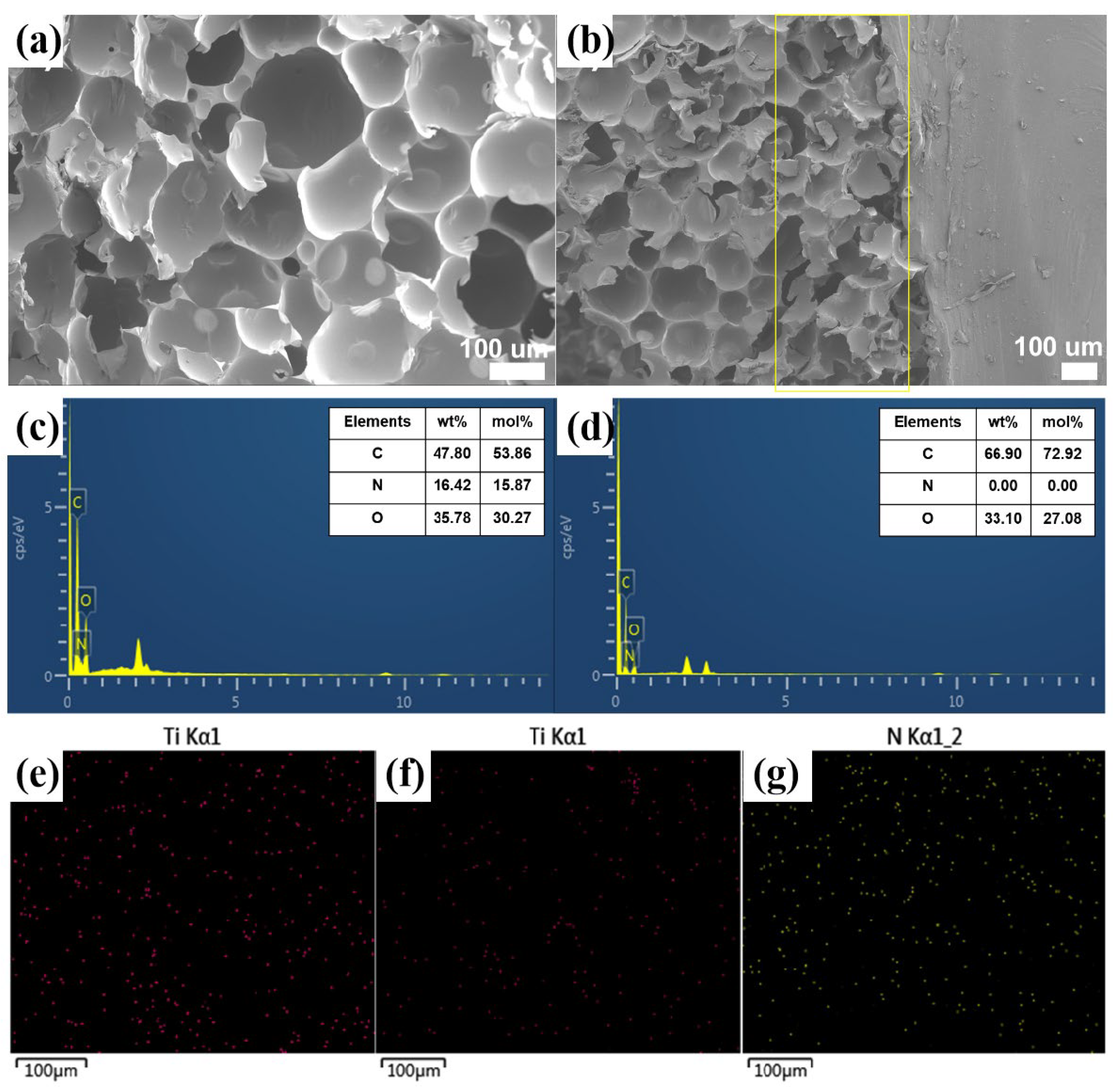 Ijms 23 12632 g003 Ijms 23 12632 g003