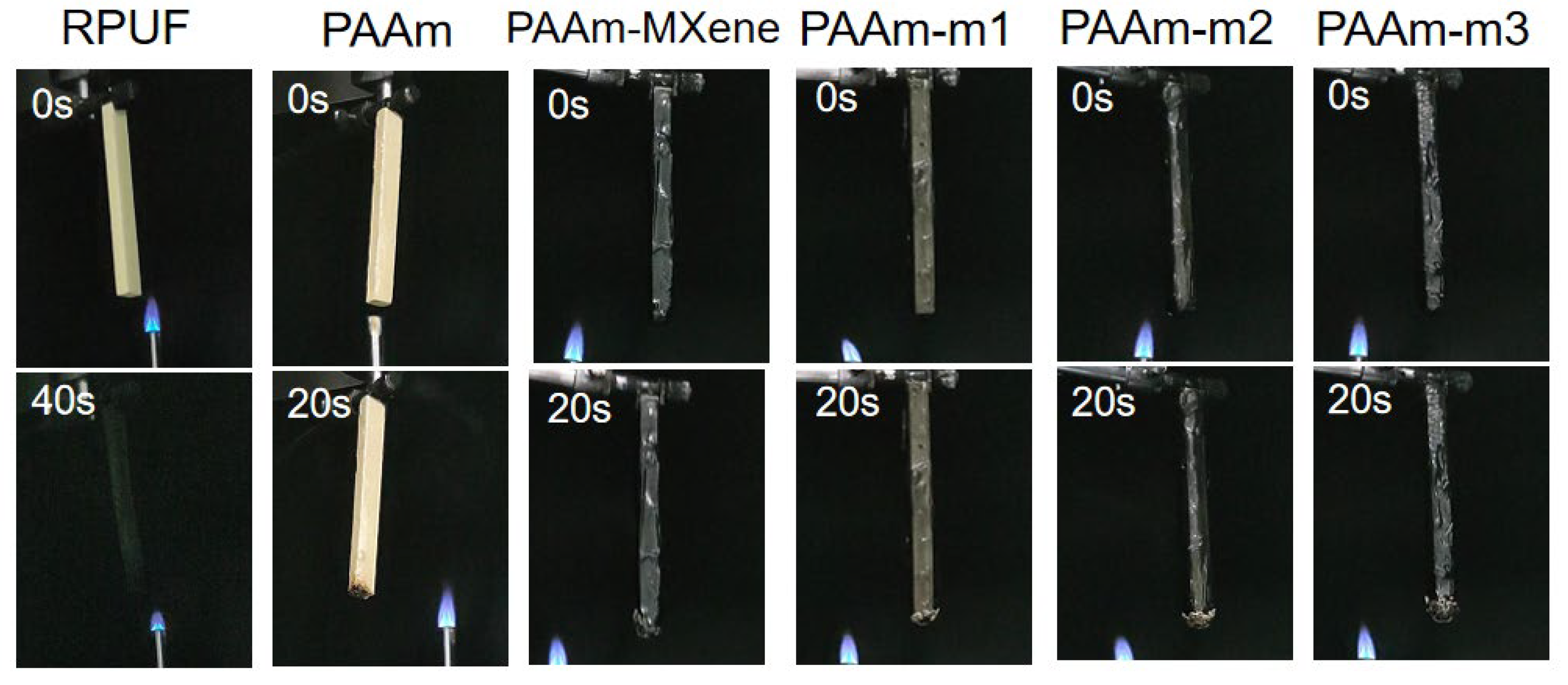 Ijms 23 12632 g007 Ijms 23 12632 g007