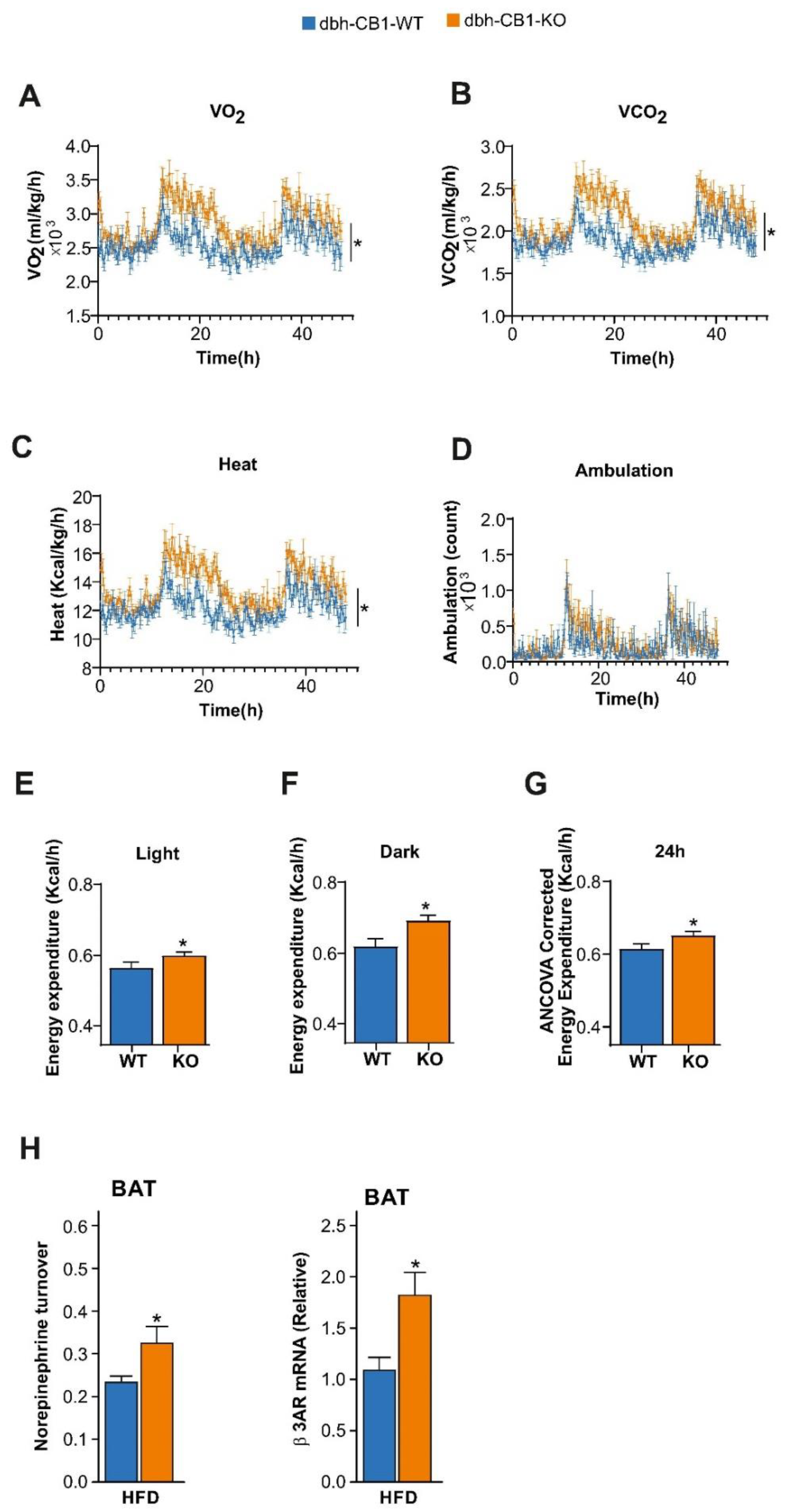 Ijms 23 12635 g003 Ijms 23 12635 g003
