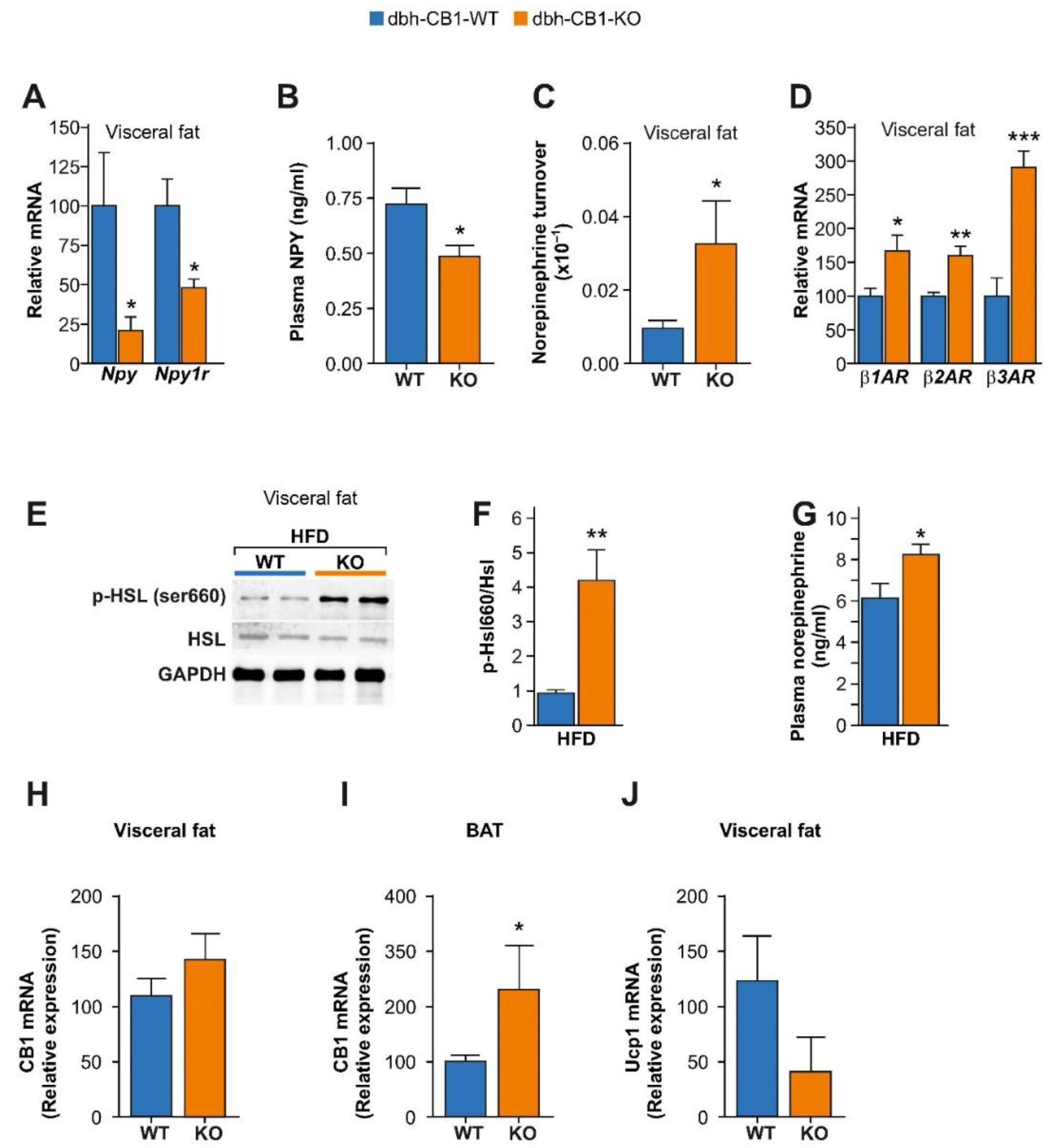 Ijms 23 12635 g004 Ijms 23 12635 g004