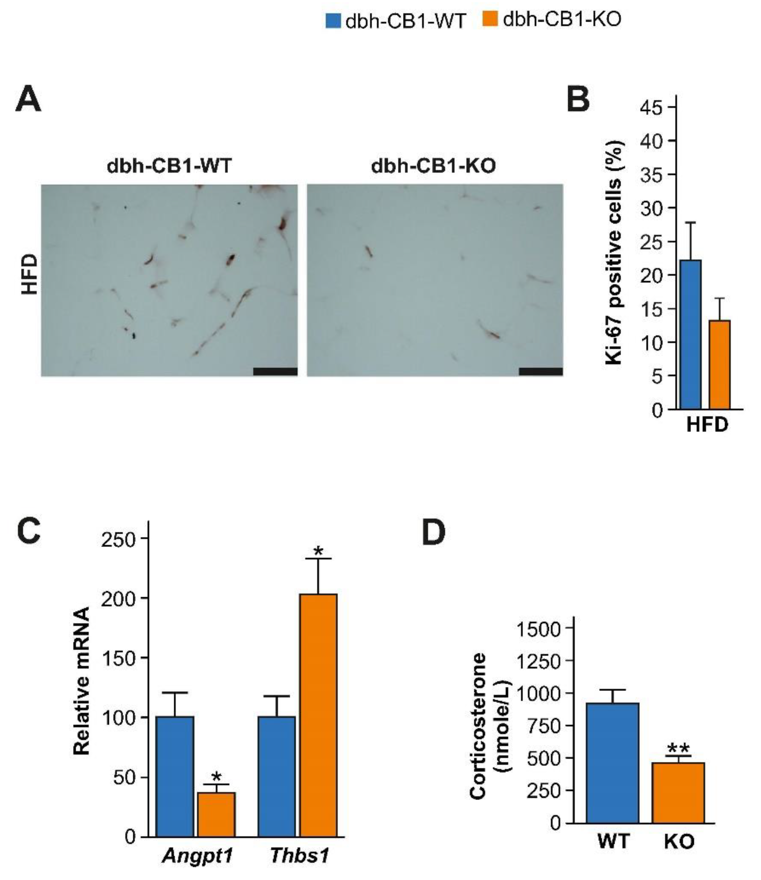 Ijms 23 12635 g005 Ijms 23 12635 g005