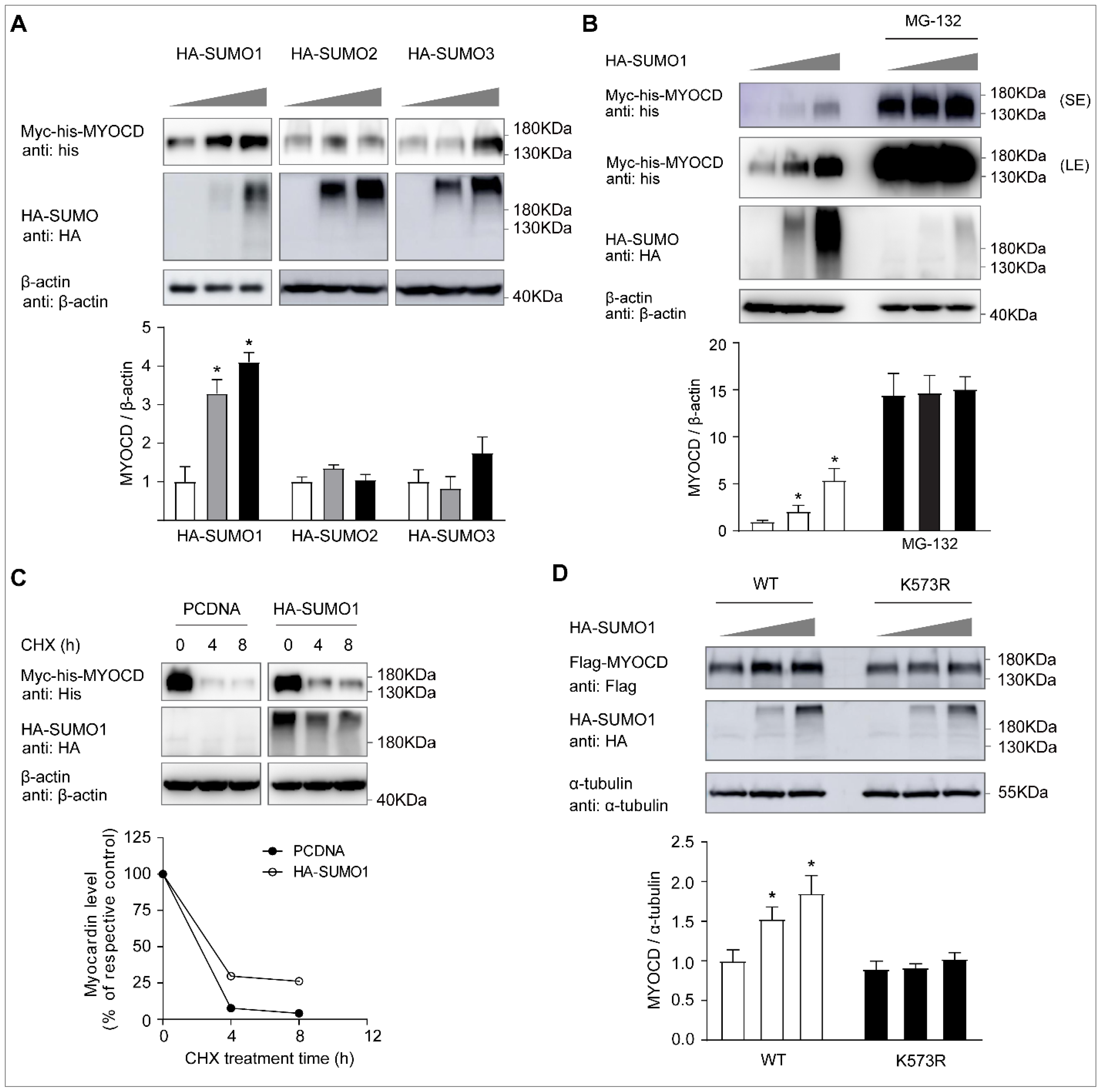 Ijms 23 12637 g003 Ijms 23 12637 g003
