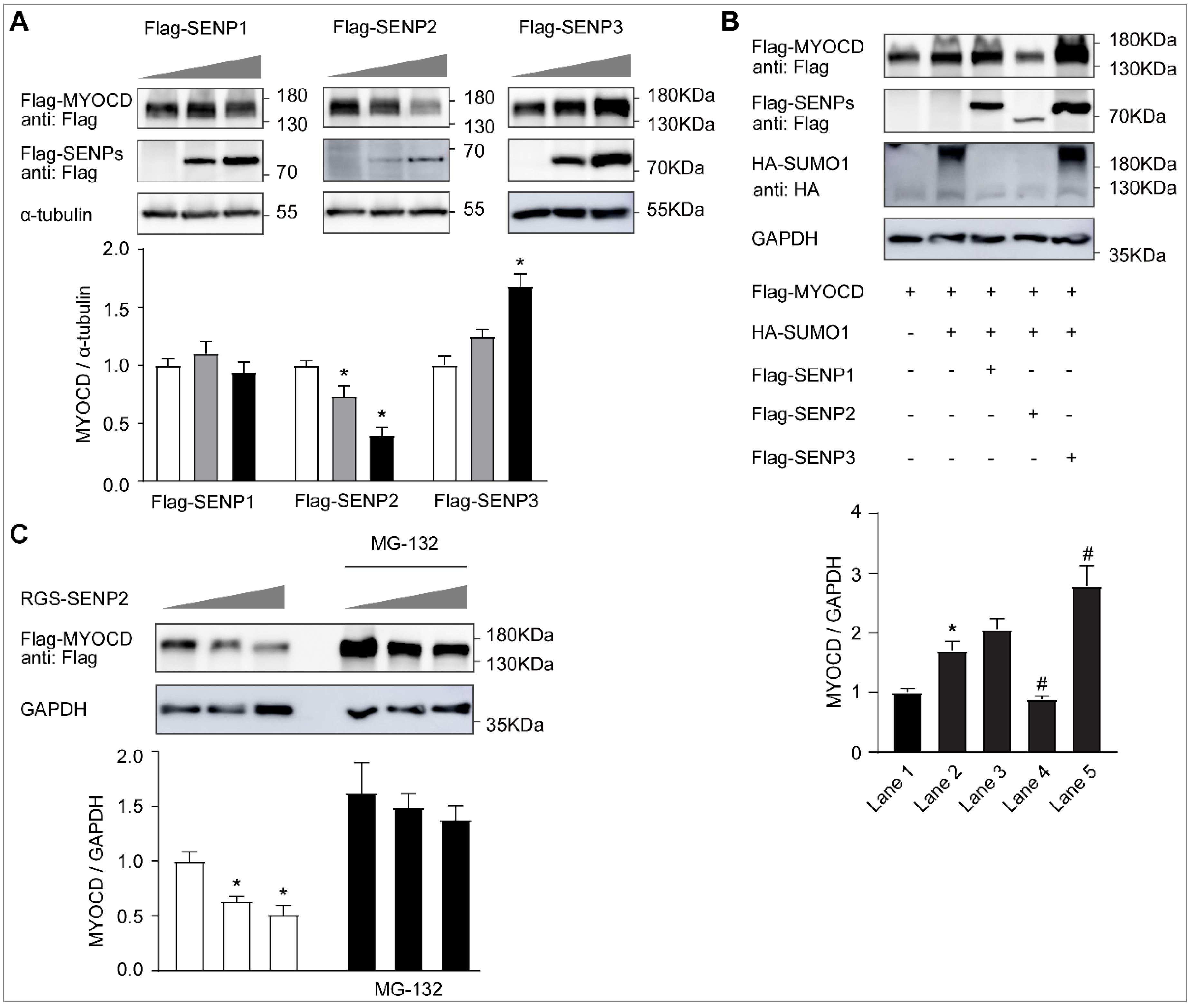 Ijms 23 12637 g004 Ijms 23 12637 g004