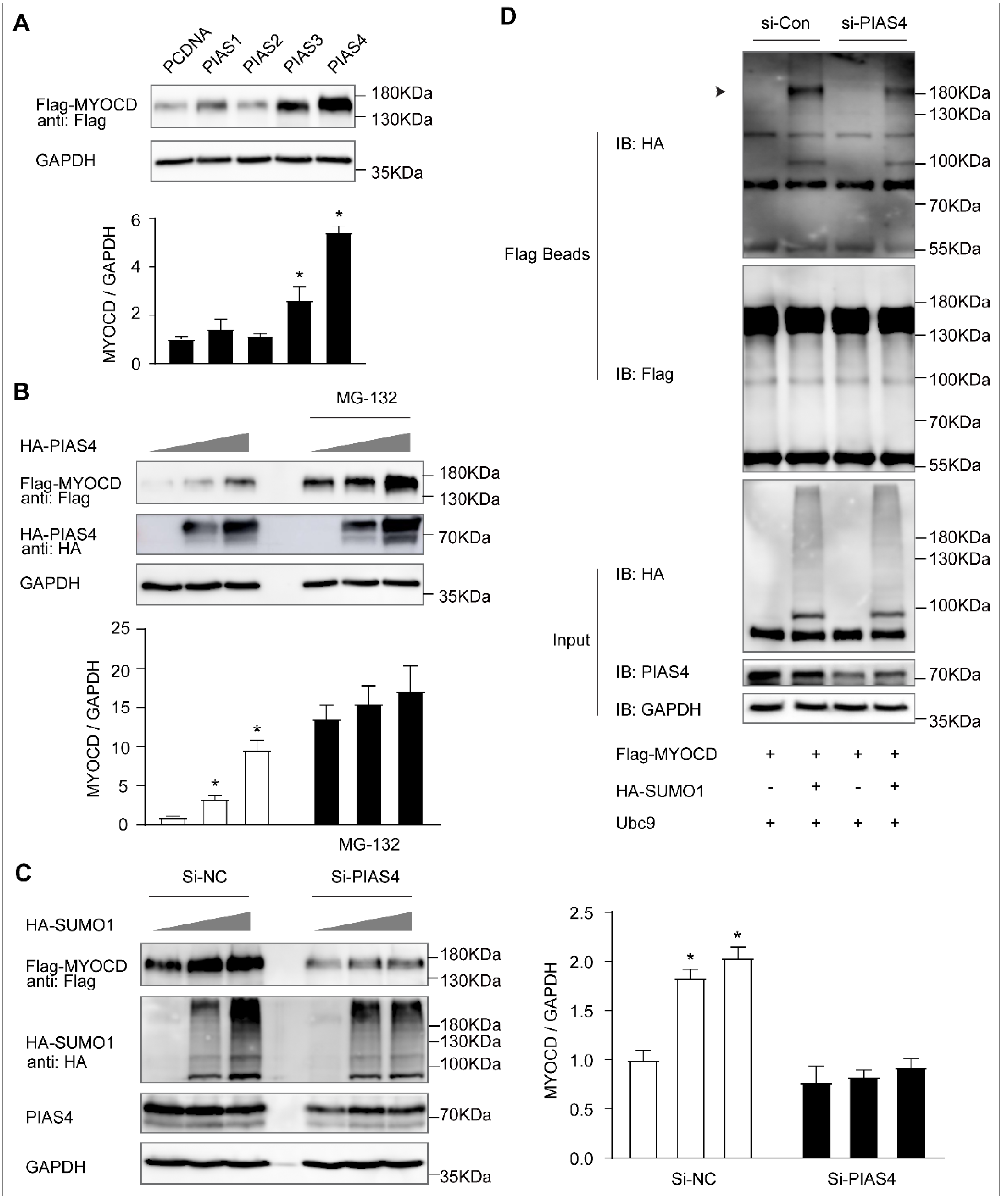 Ijms 23 12637 g005 Ijms 23 12637 g005
