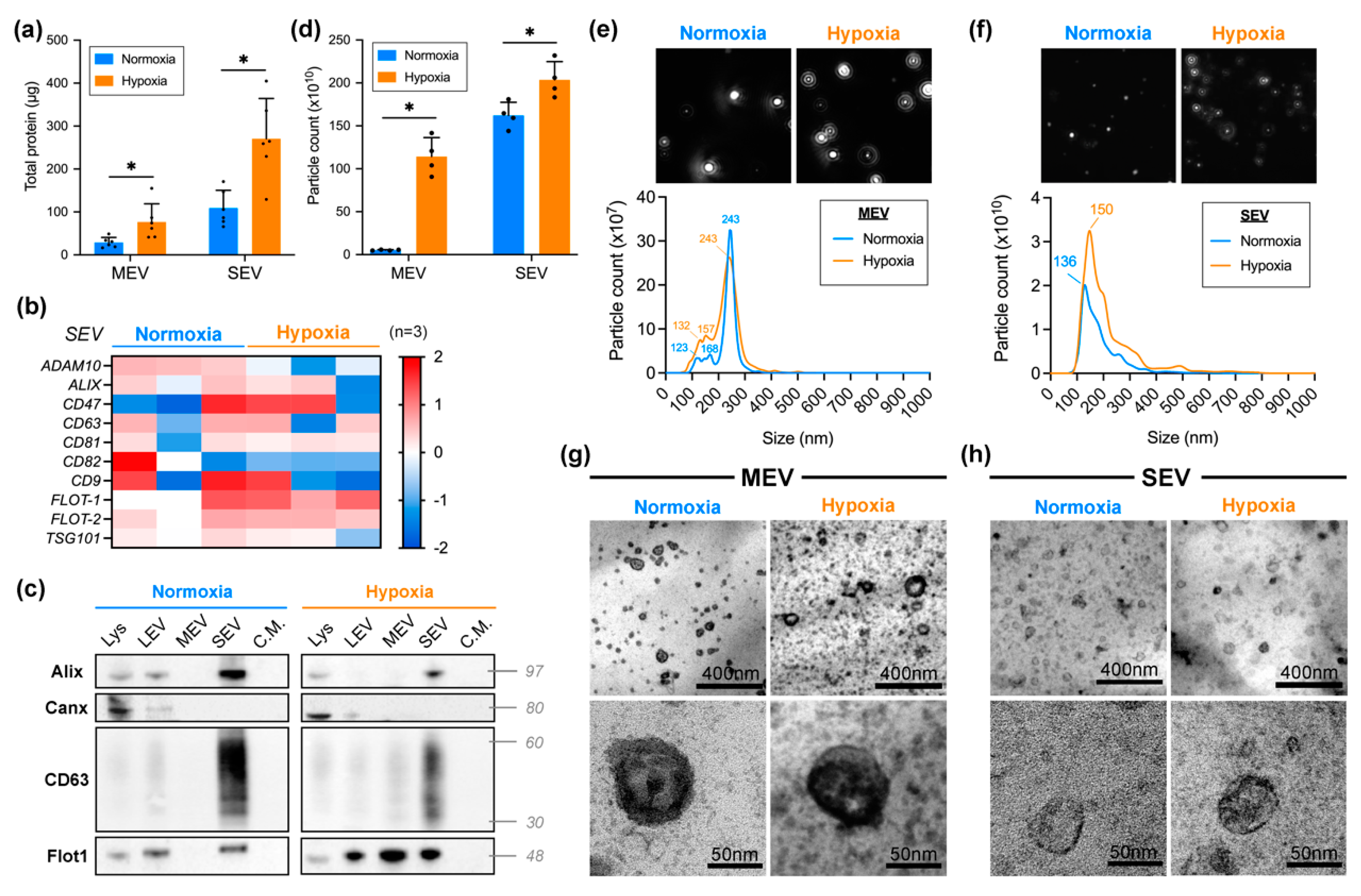 Ijms 23 12646 g001 Ijms 23 12646 g001