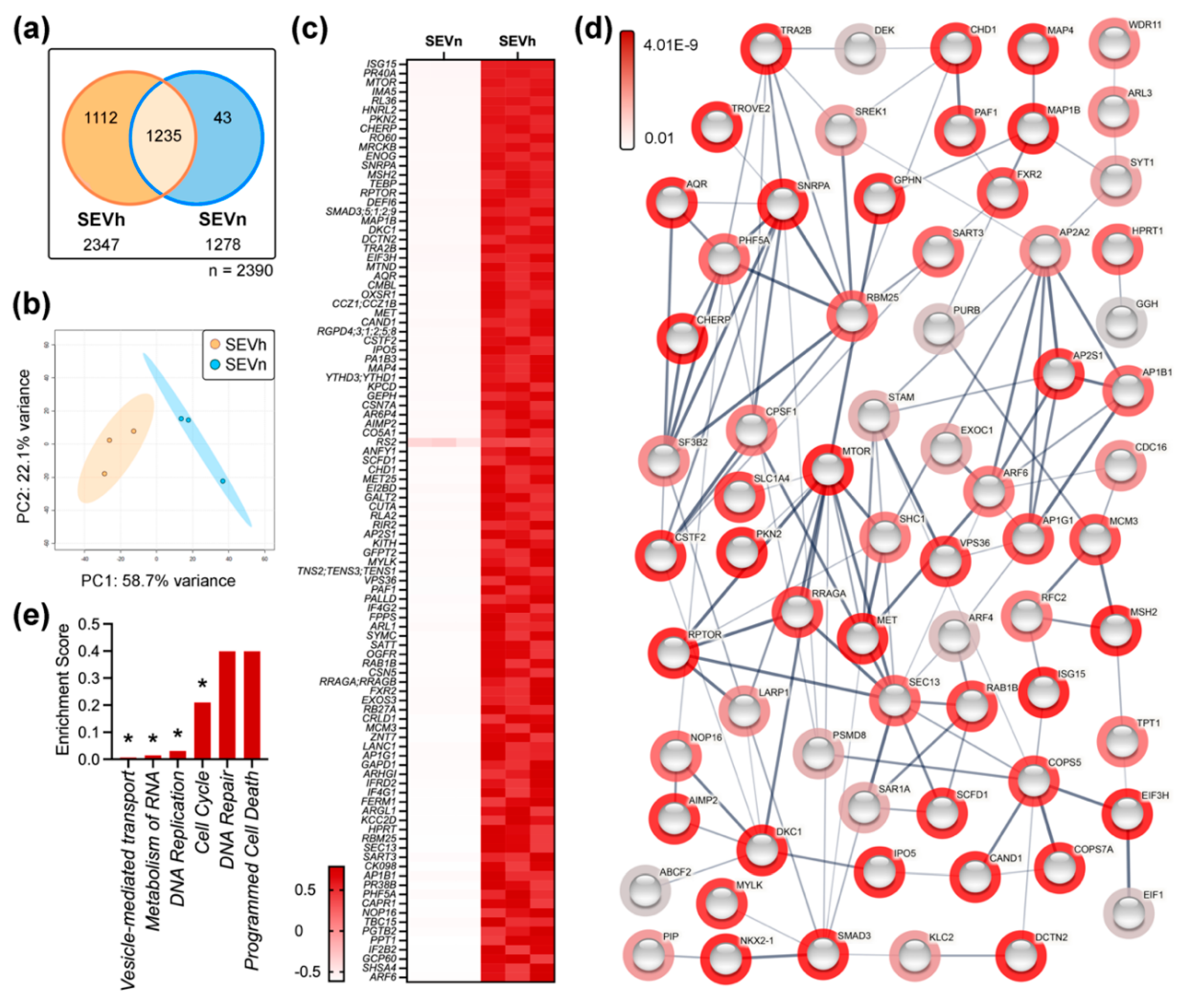 Ijms 23 12646 g002 Ijms 23 12646 g002
