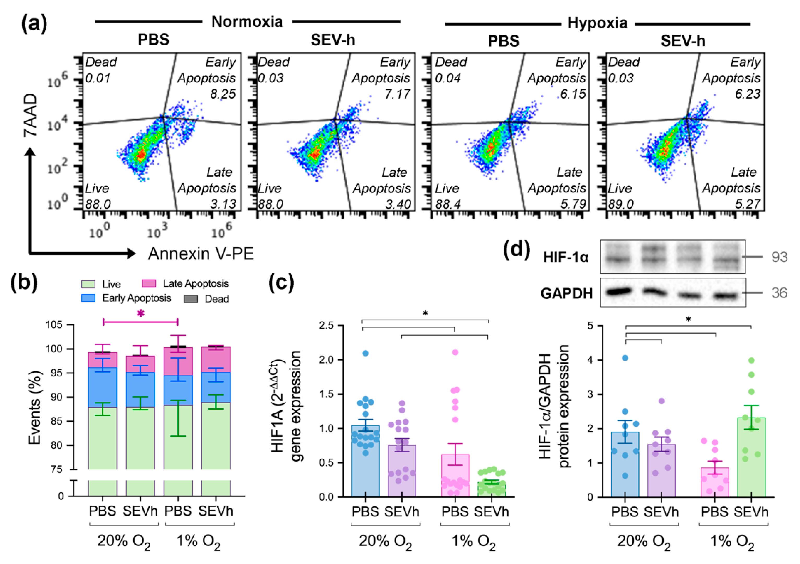 Ijms 23 12646 g005 Ijms 23 12646 g005