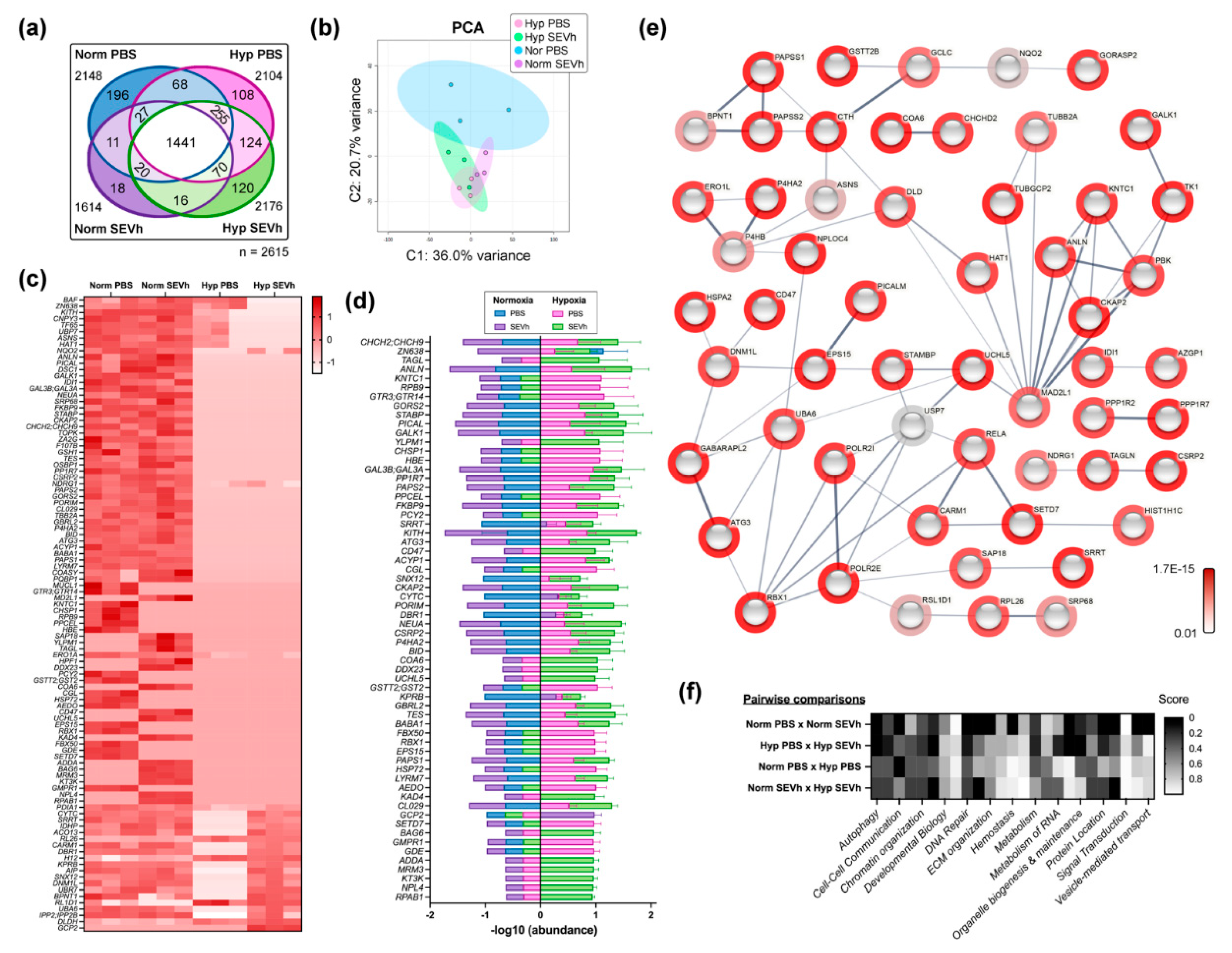 Ijms 23 12646 g006 Ijms 23 12646 g006