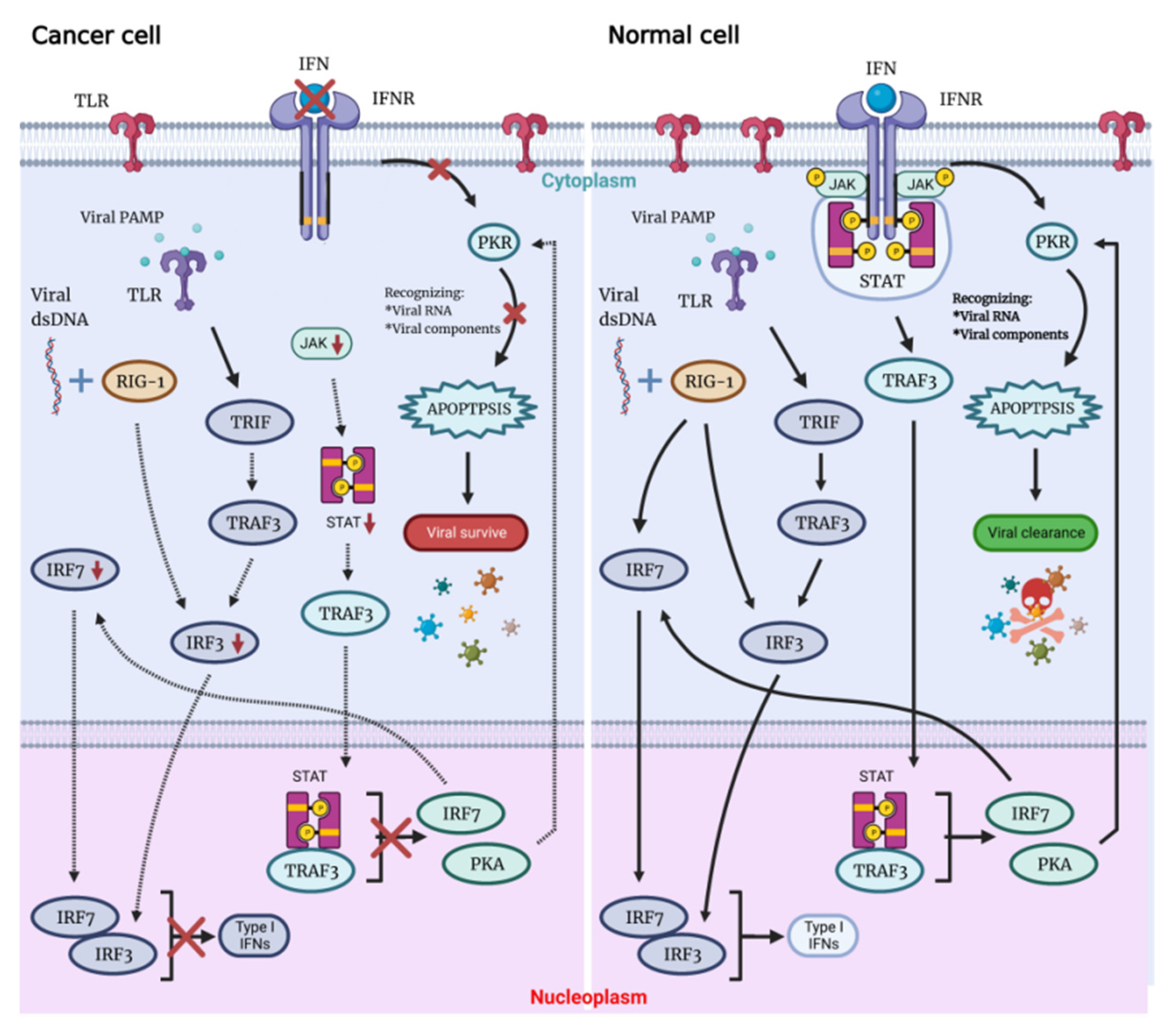 Ijms 23 12647 g001 Ijms 23 12647 g001