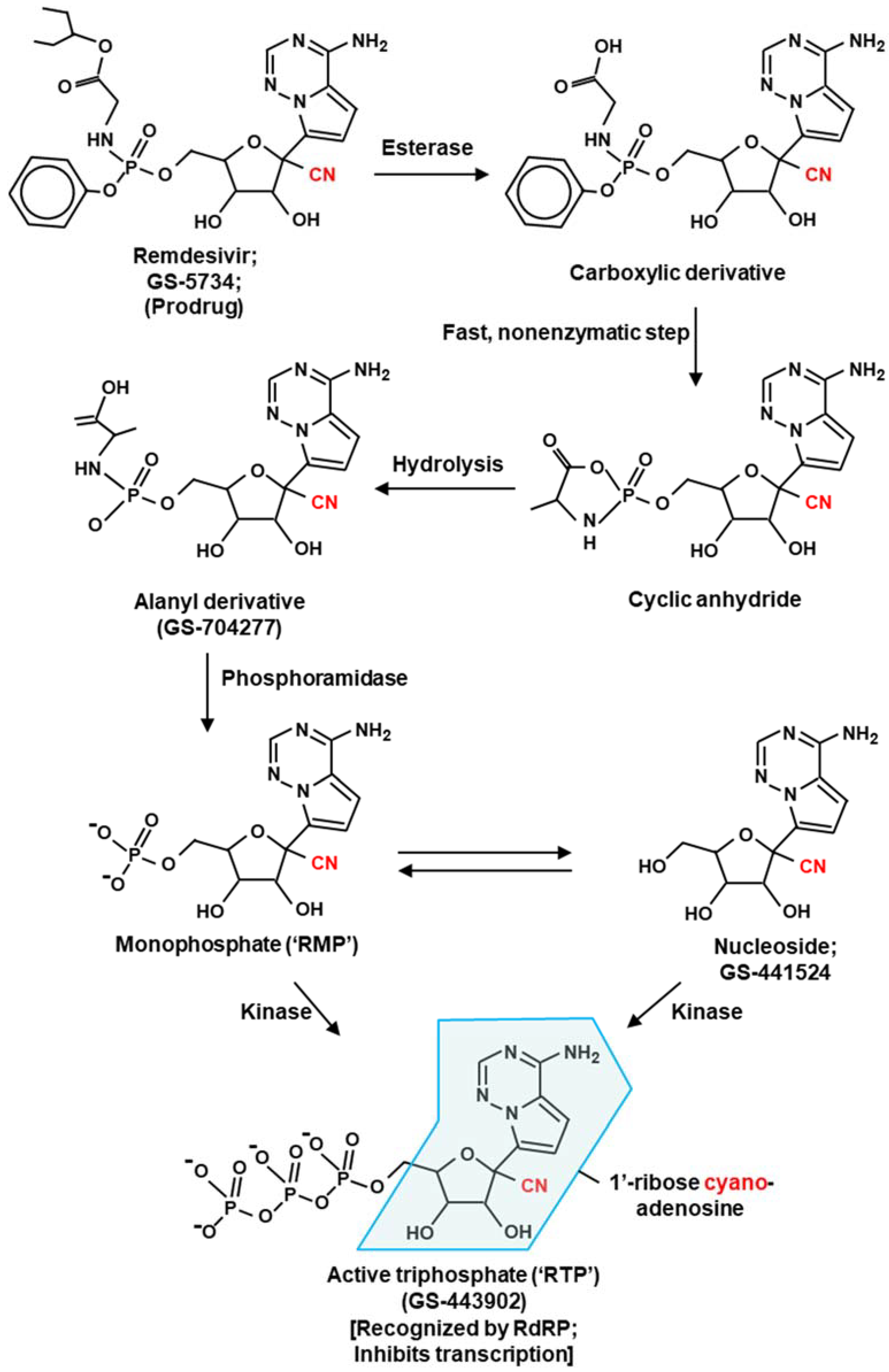 Ijms 23 12649 g002 Ijms 23 12649 g002