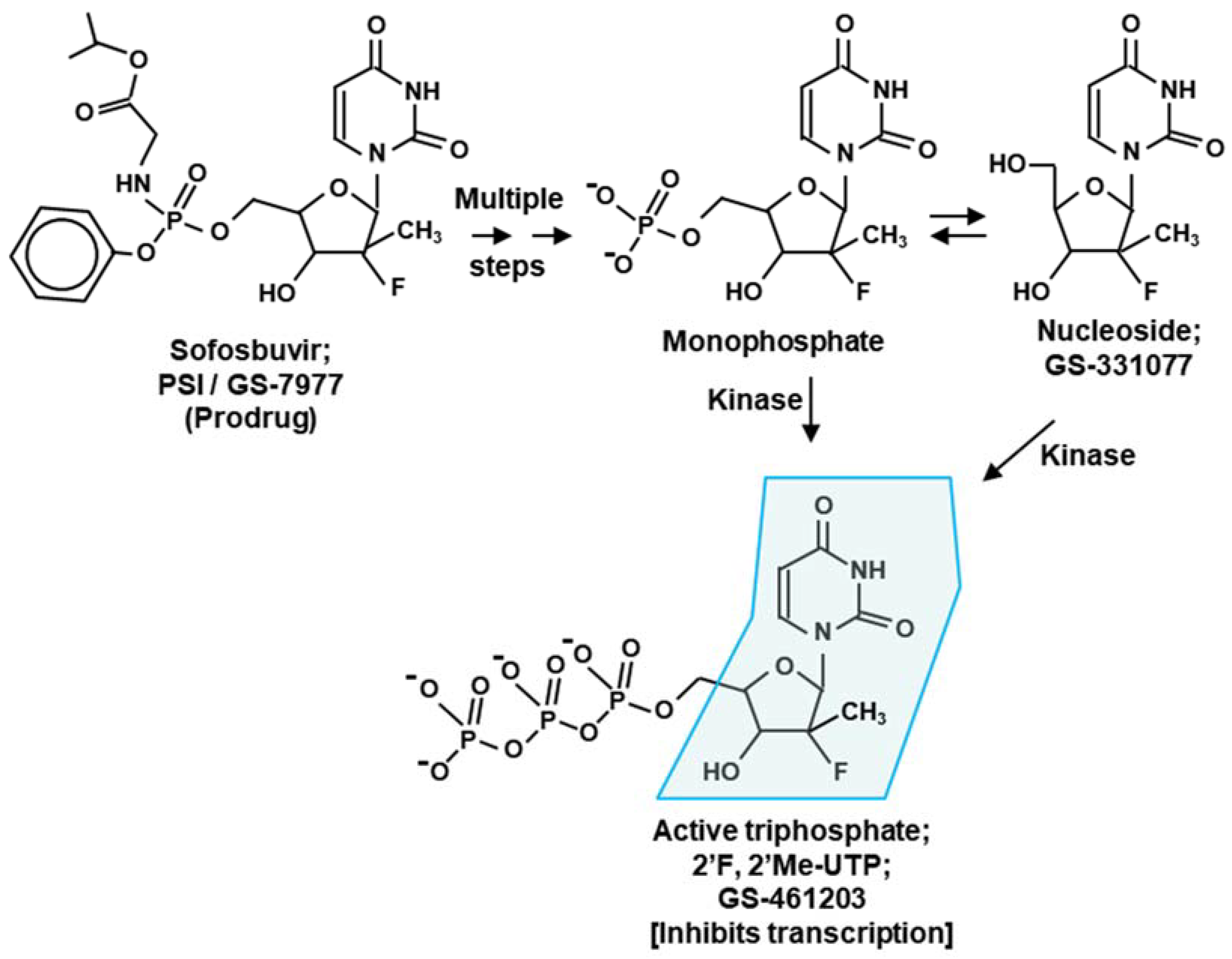 Ijms 23 12649 g004 Ijms 23 12649 g004