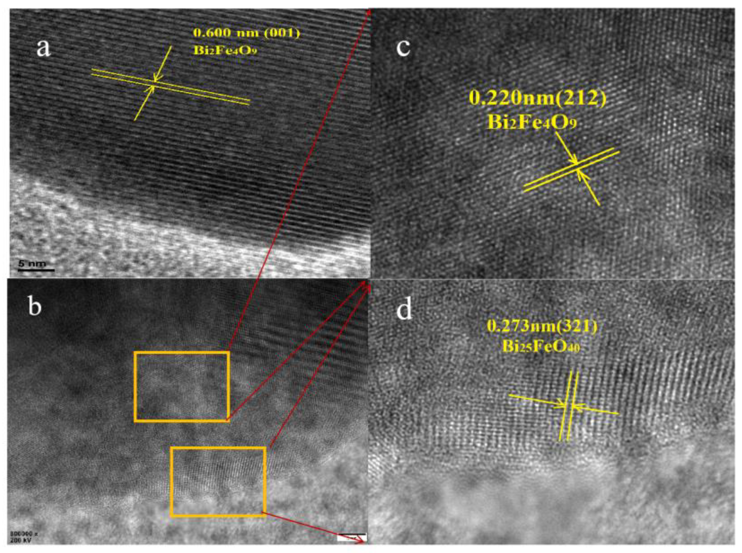 Ijms 23 12652 g002 Ijms 23 12652 g002