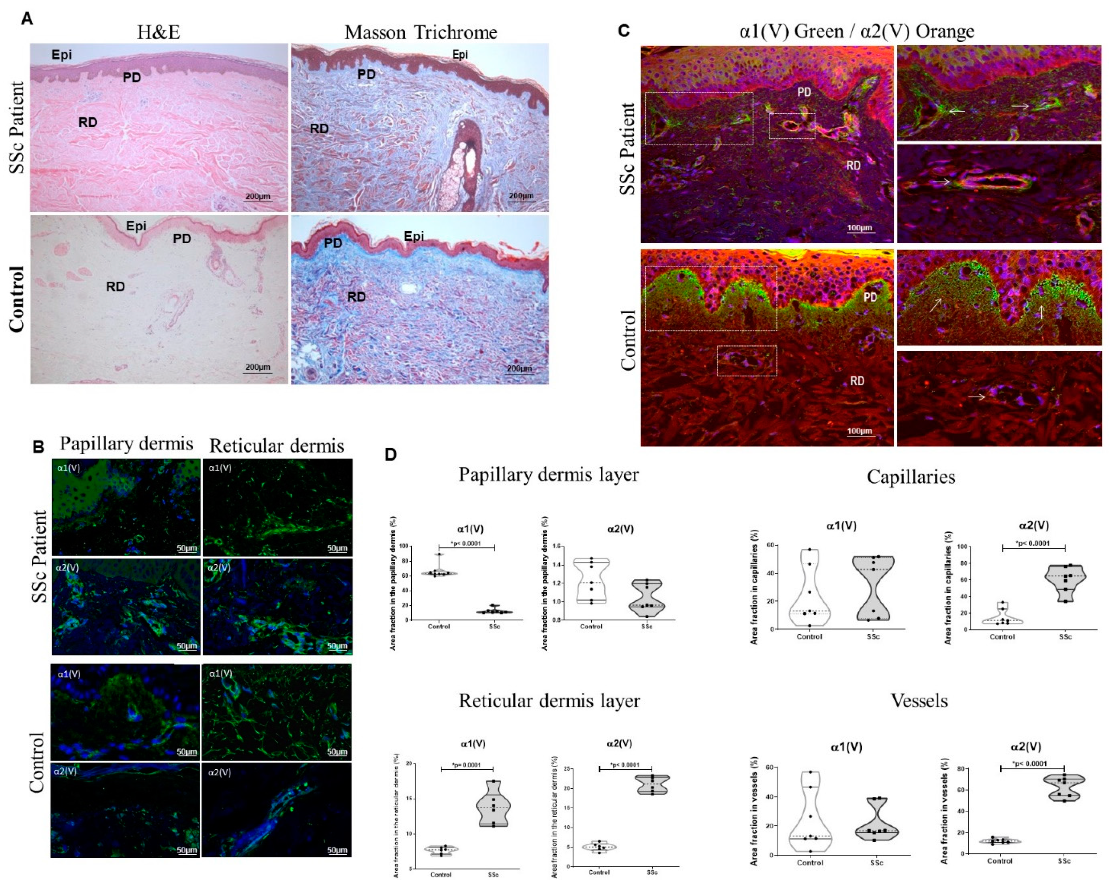 Ijms 23 12654 g001 Ijms 23 12654 g001