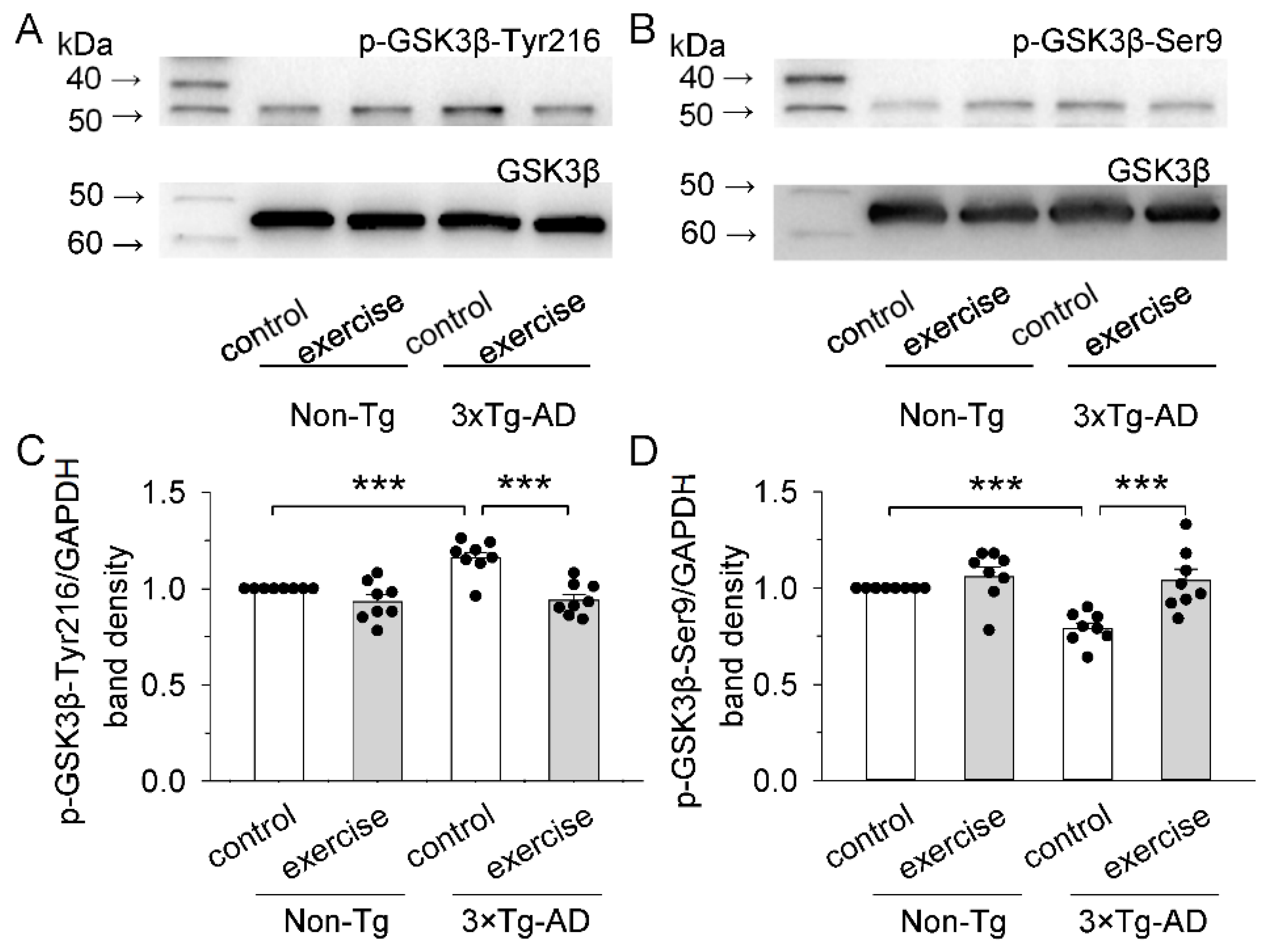 Ijms 23 12655 g002 Ijms 23 12655 g002