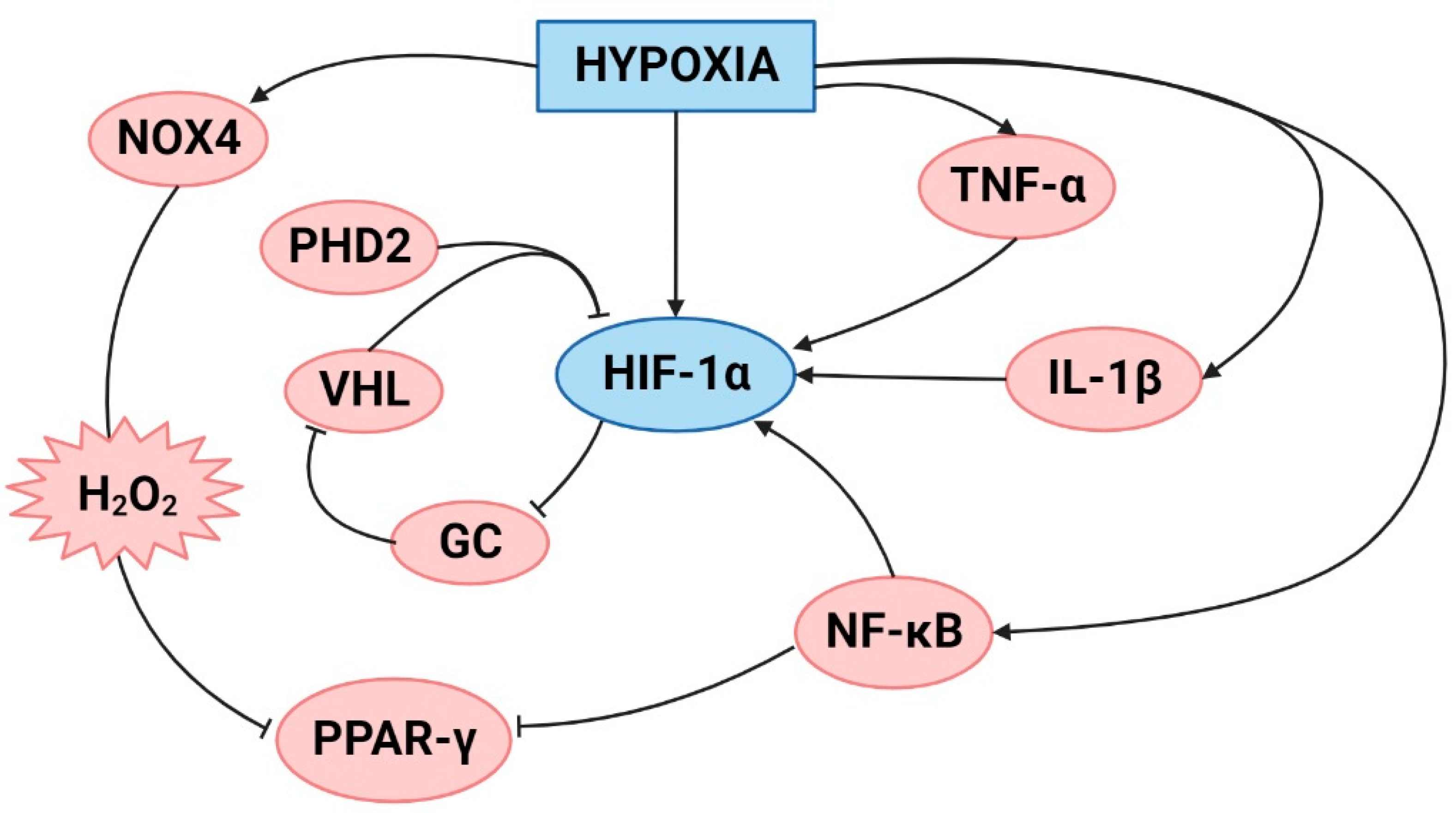 Ijms 23 12656 g001 Ijms 23 12656 g001