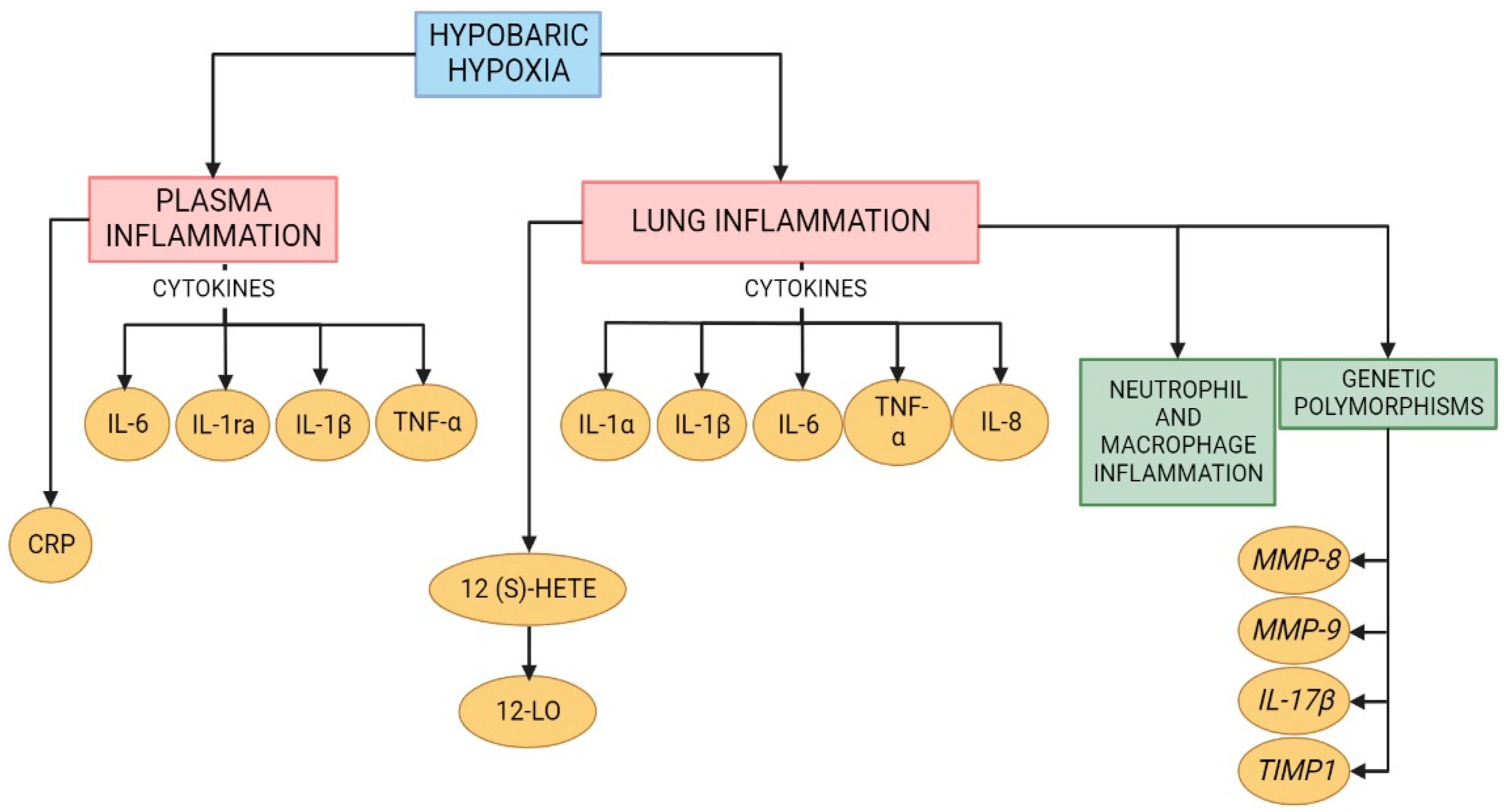 Ijms 23 12656 g002 Ijms 23 12656 g002