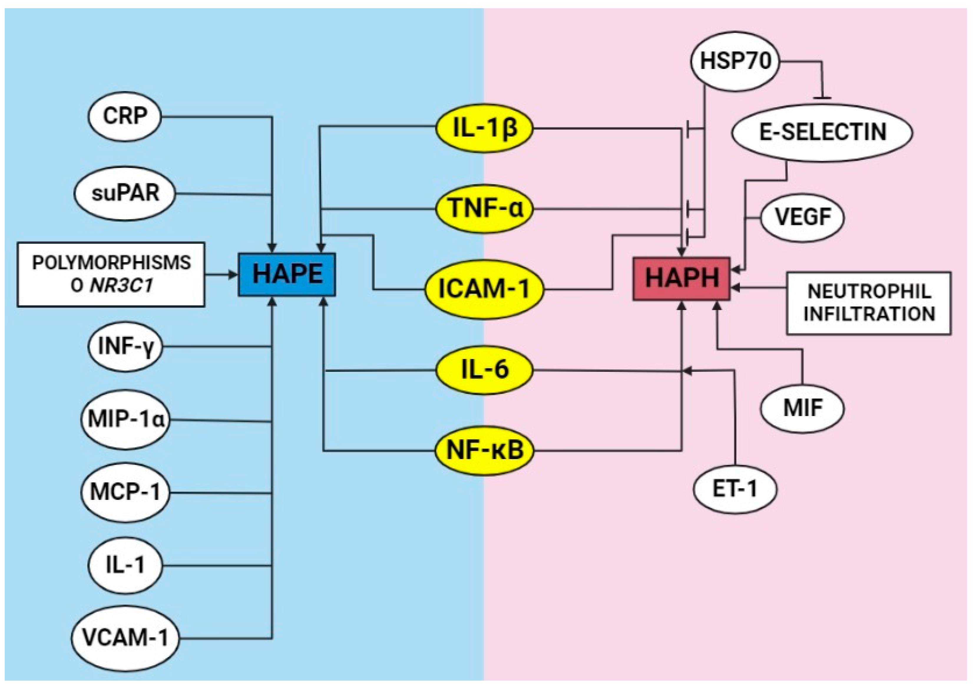Ijms 23 12656 g003 Ijms 23 12656 g003
