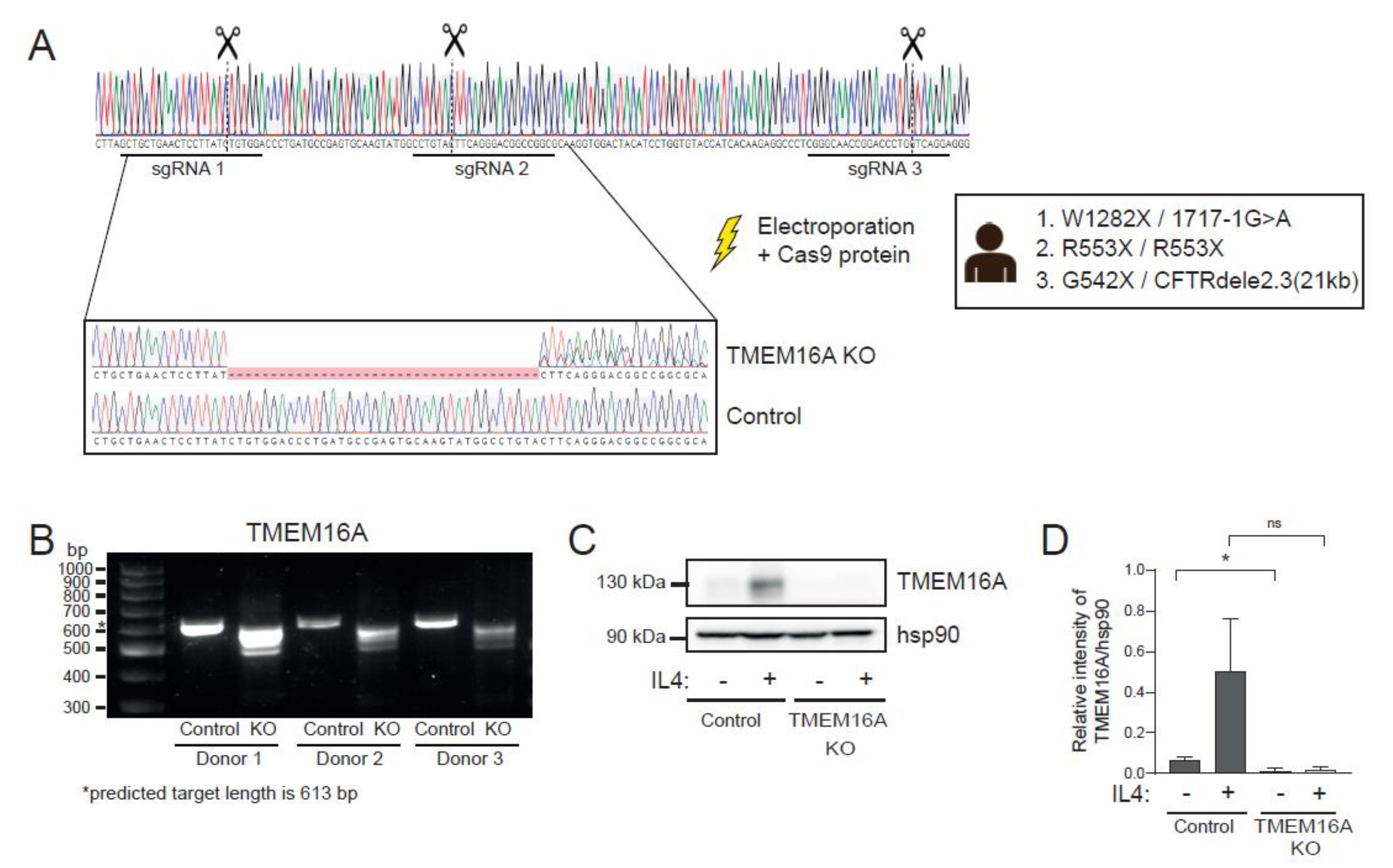 Ijms 23 12657 g005a Ijms 23 12657 g005a