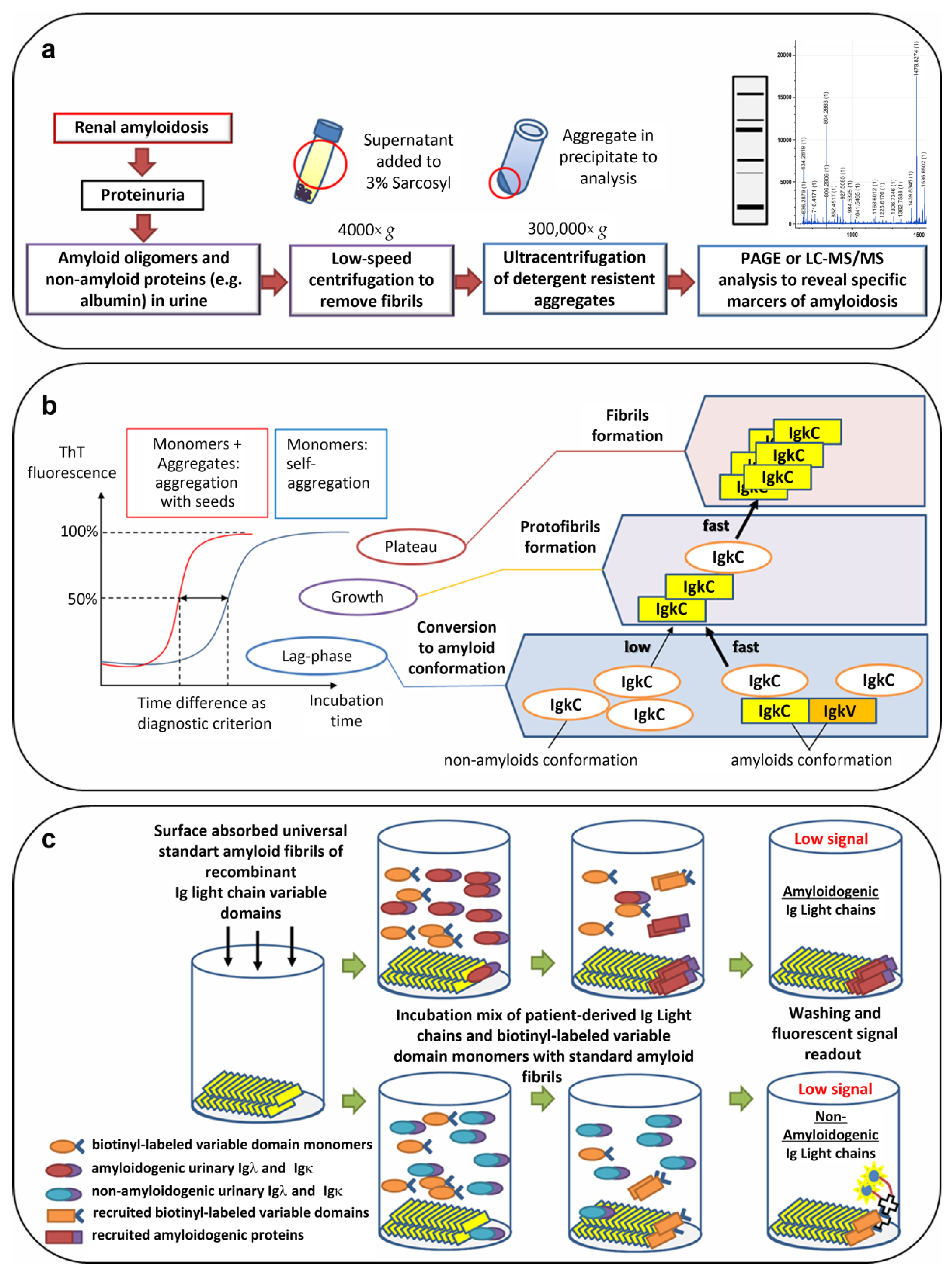 Ijms 23 12662 g003 Ijms 23 12662 g003