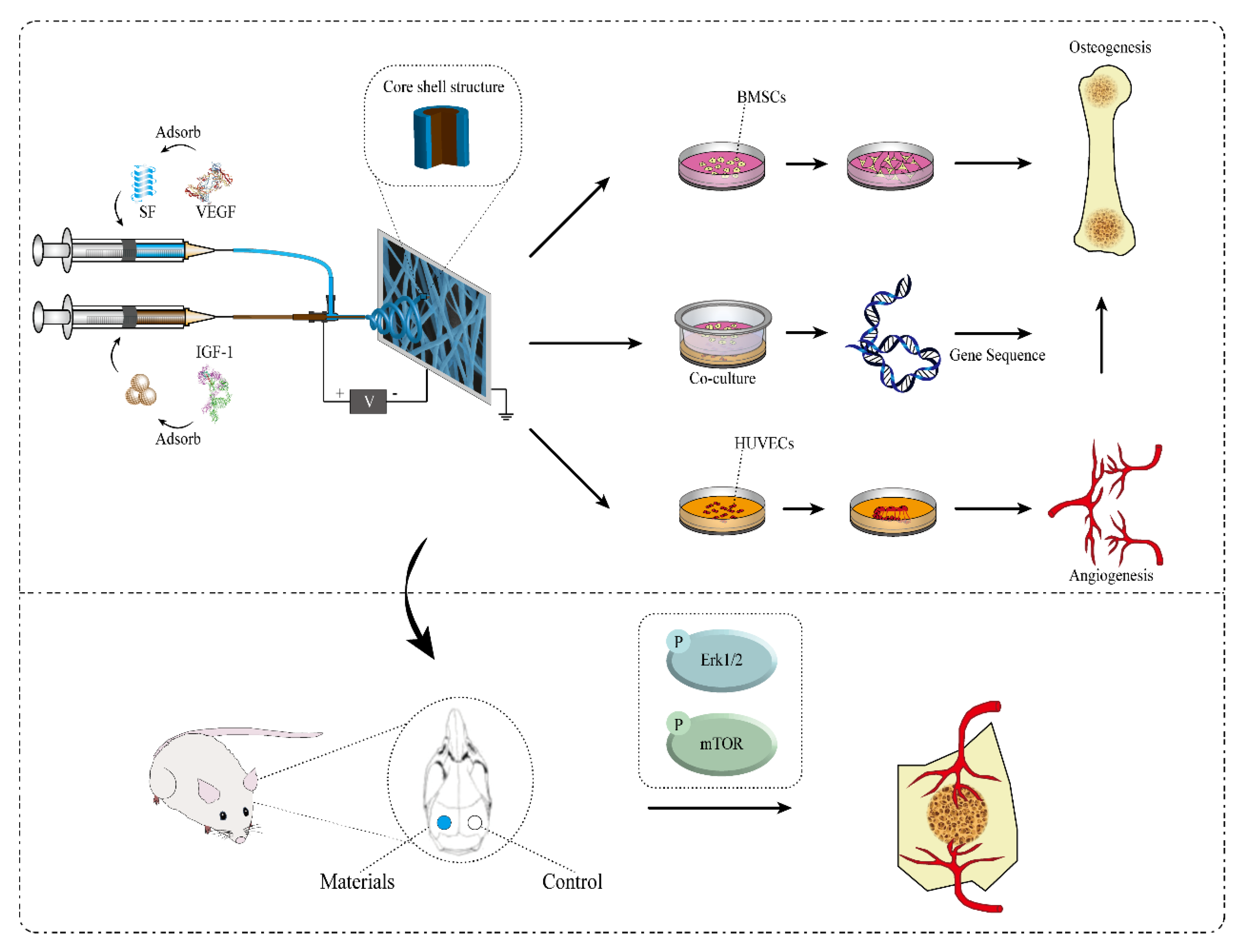 Ijms 23 12670 sch001