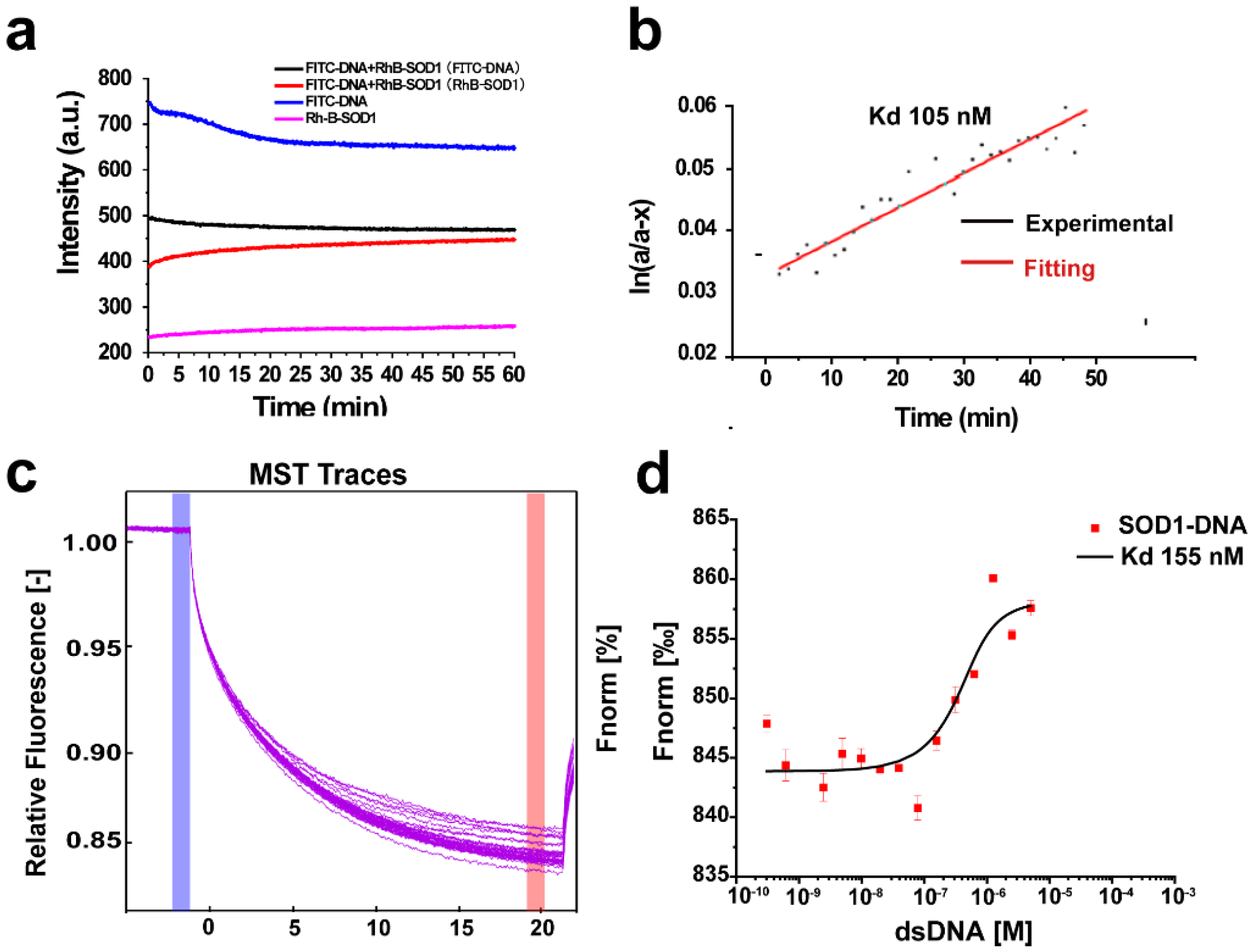 Ijms 23 12673 g001 Ijms 23 12673 g001