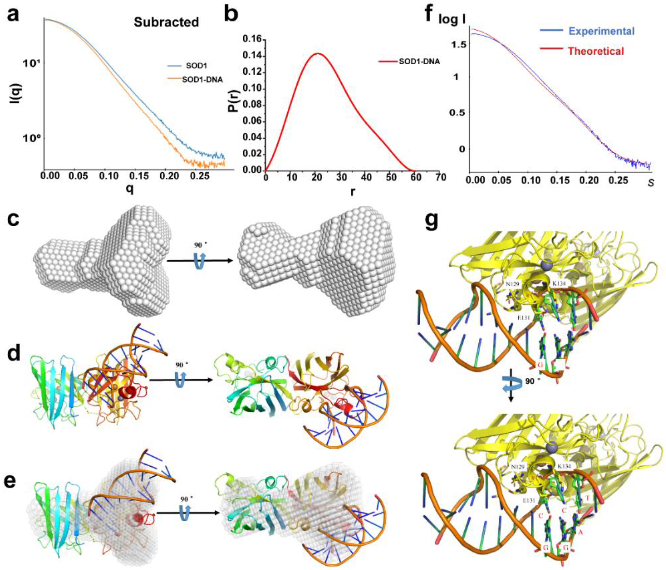 Ijms 23 12673 g003 Ijms 23 12673 g003