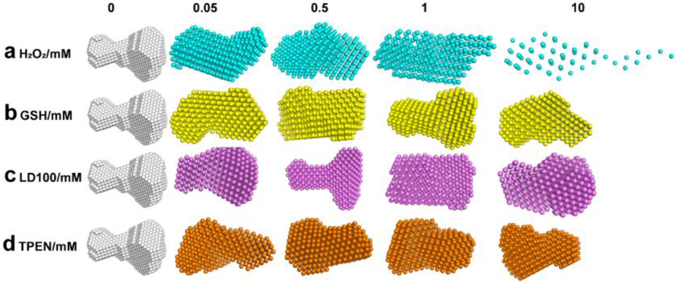 Ijms 23 12673 g004 Ijms 23 12673 g004