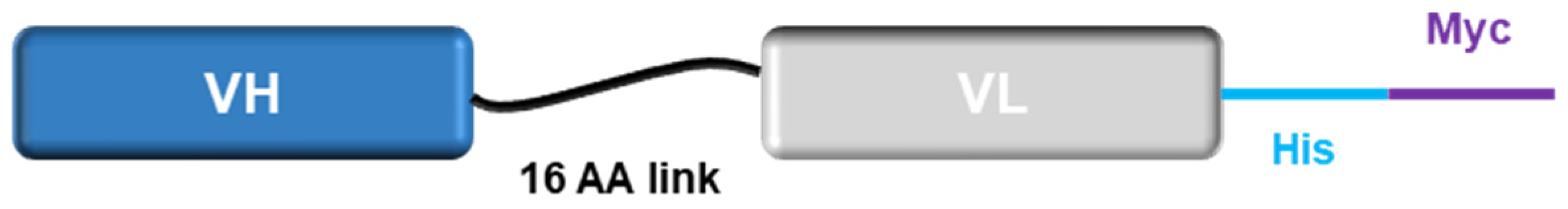 Ijms 23 12677 sch002