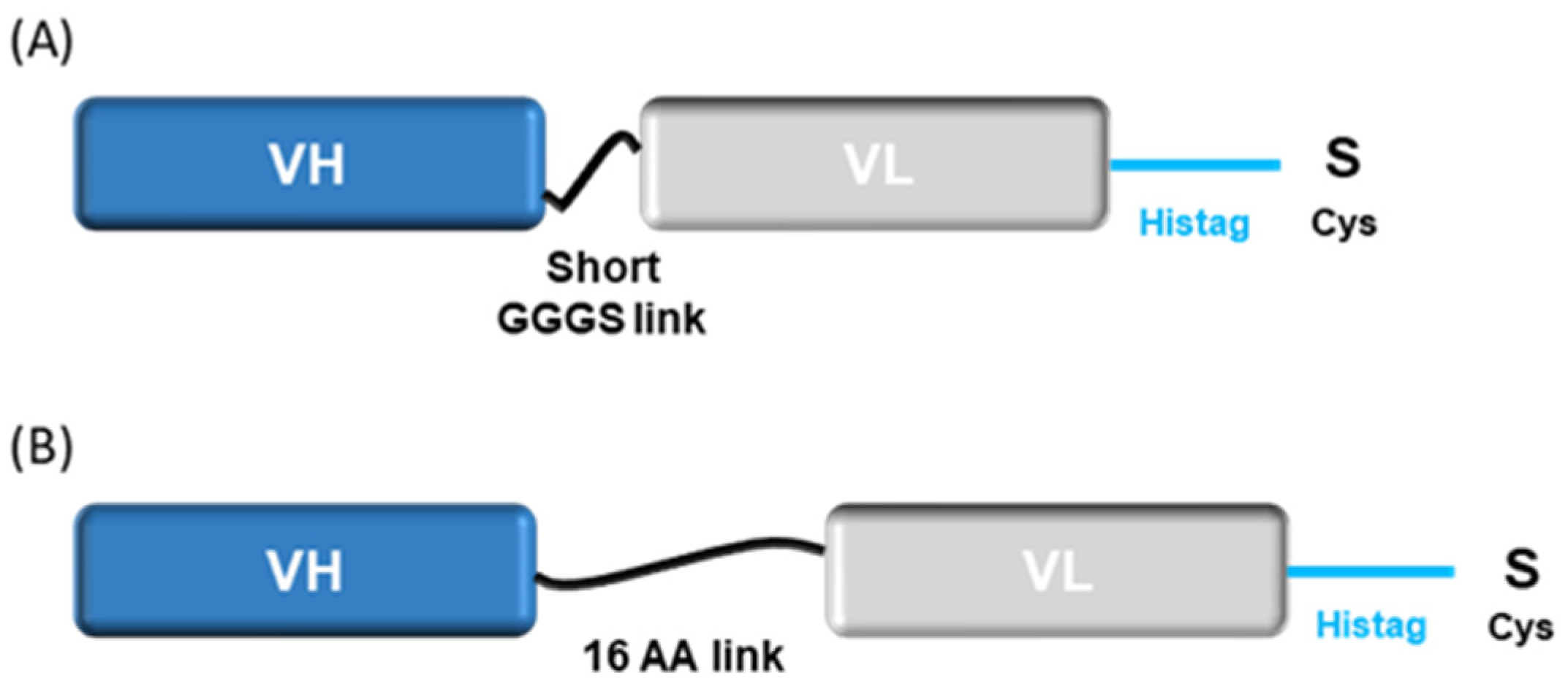 Ijms 23 12677 sch003