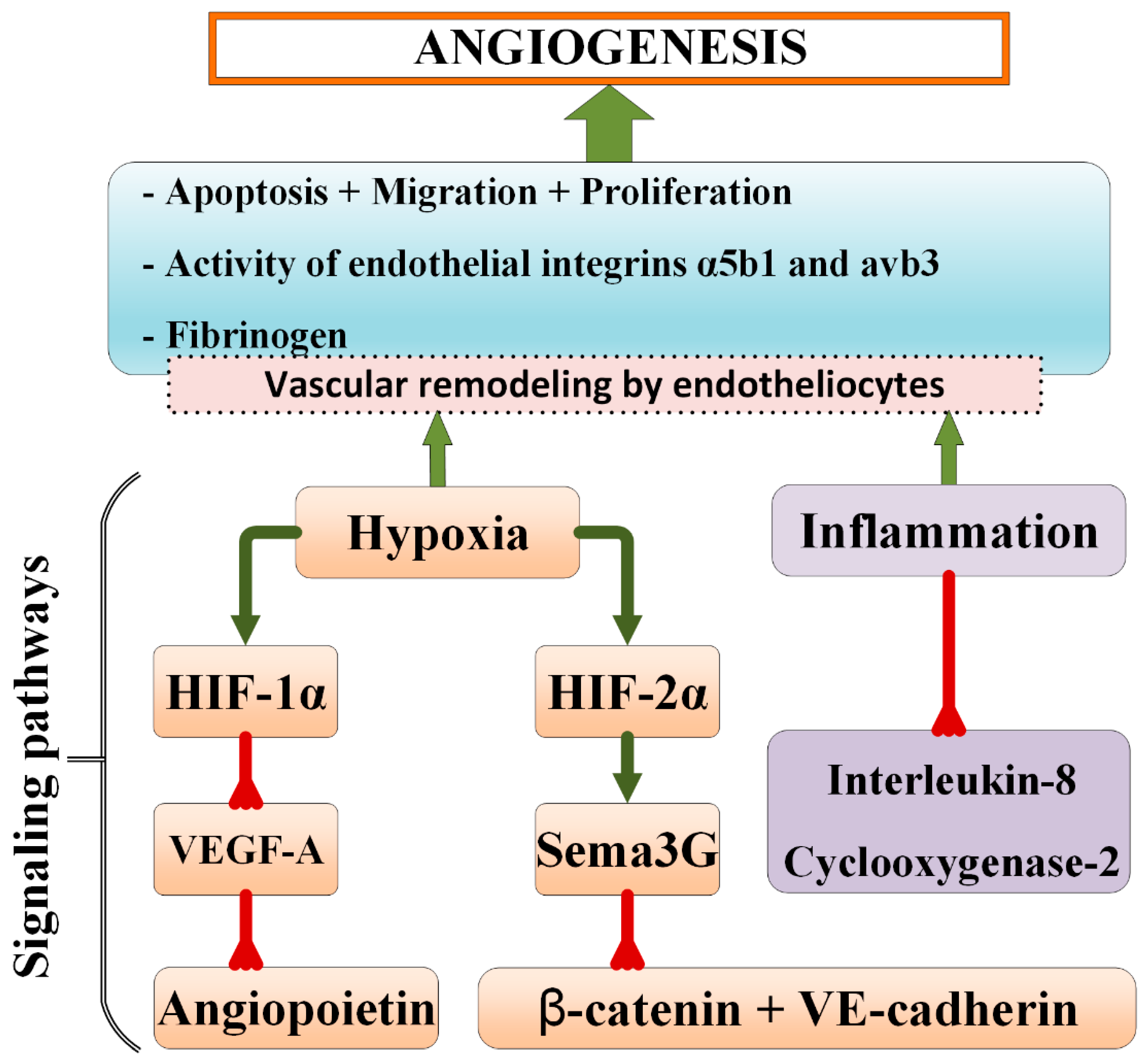 Ijms 23 12683 g002 Ijms 23 12683 g002