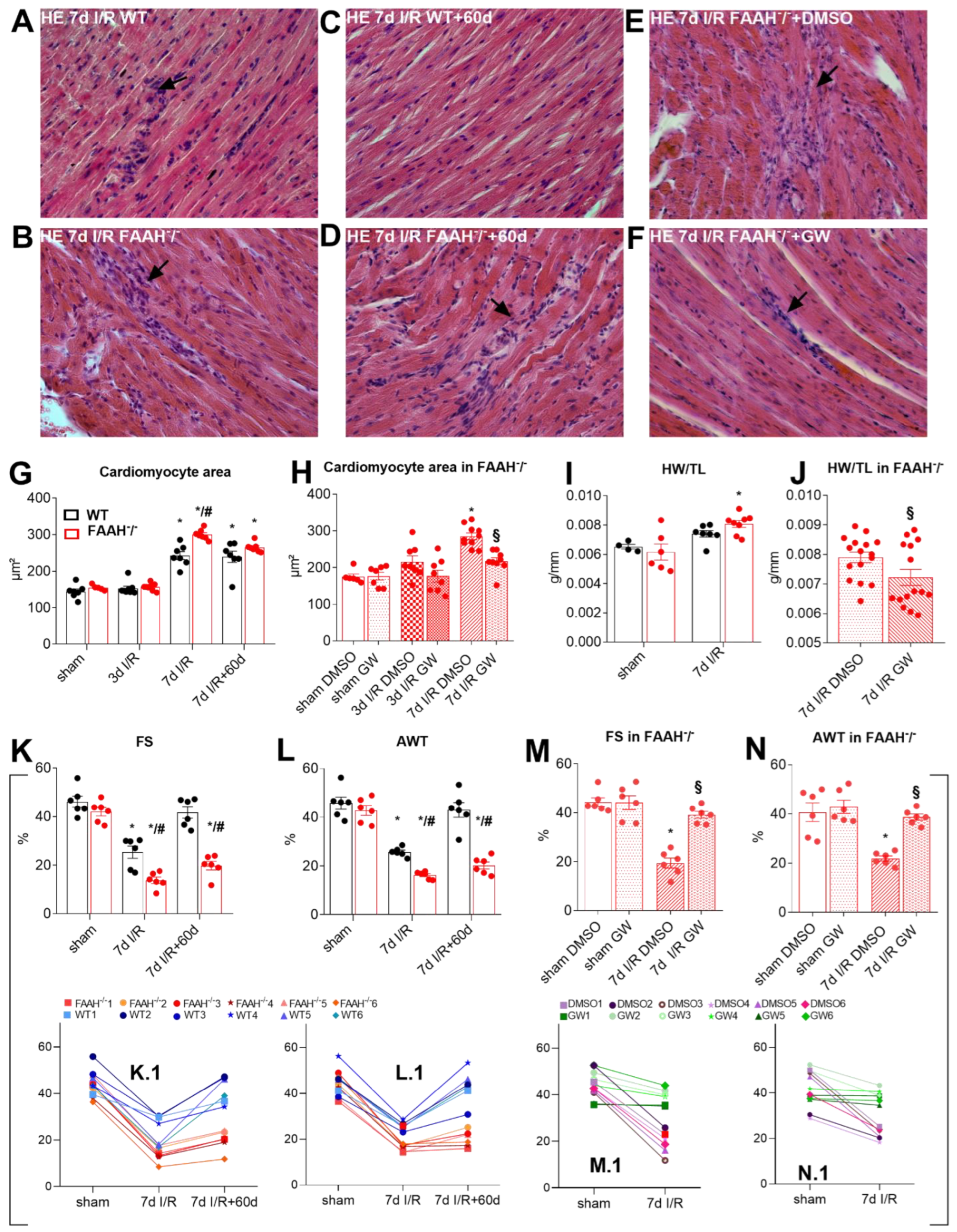 Ijms 23 12690 g001 Ijms 23 12690 g001