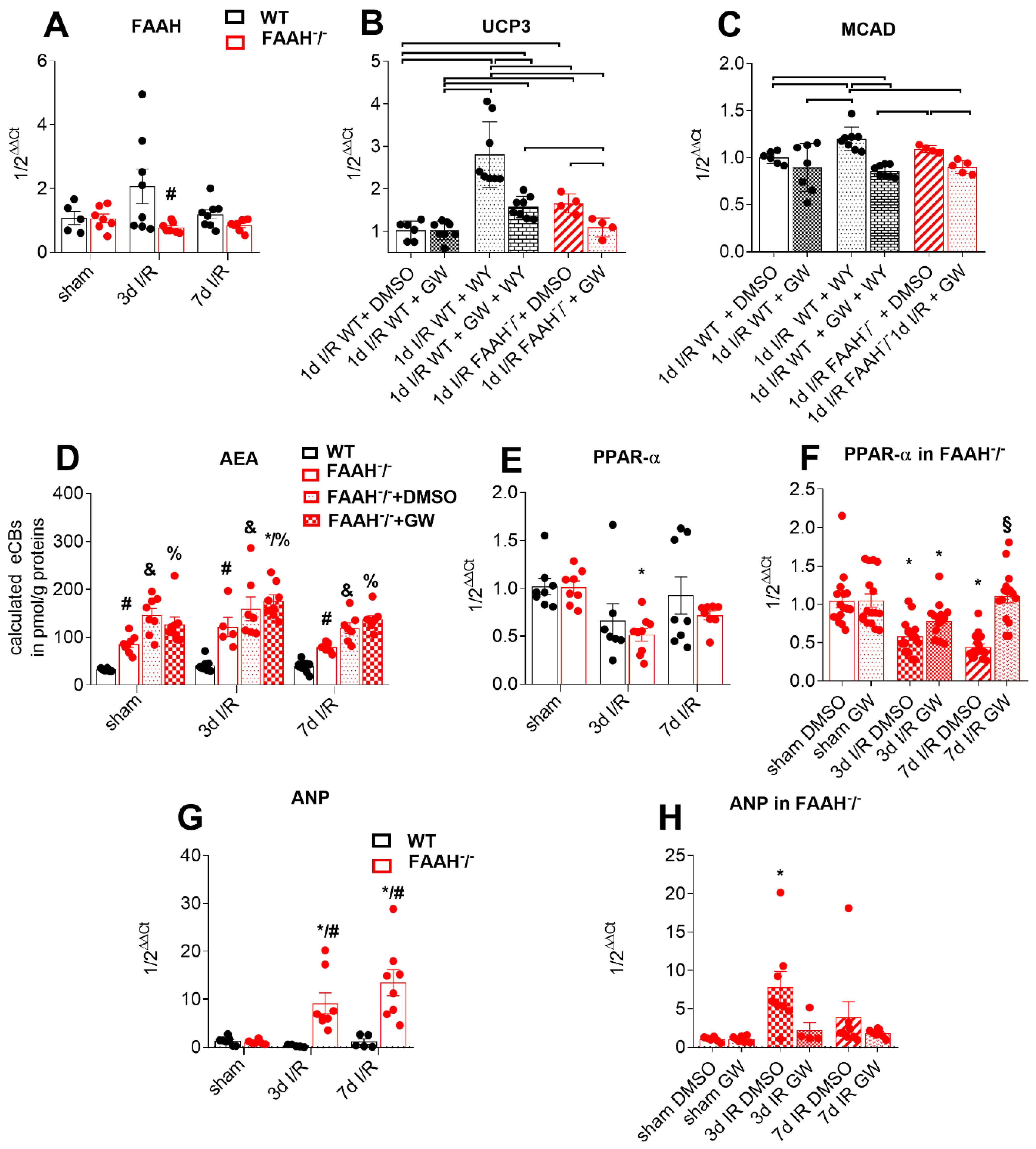Ijms 23 12690 g002 Ijms 23 12690 g002