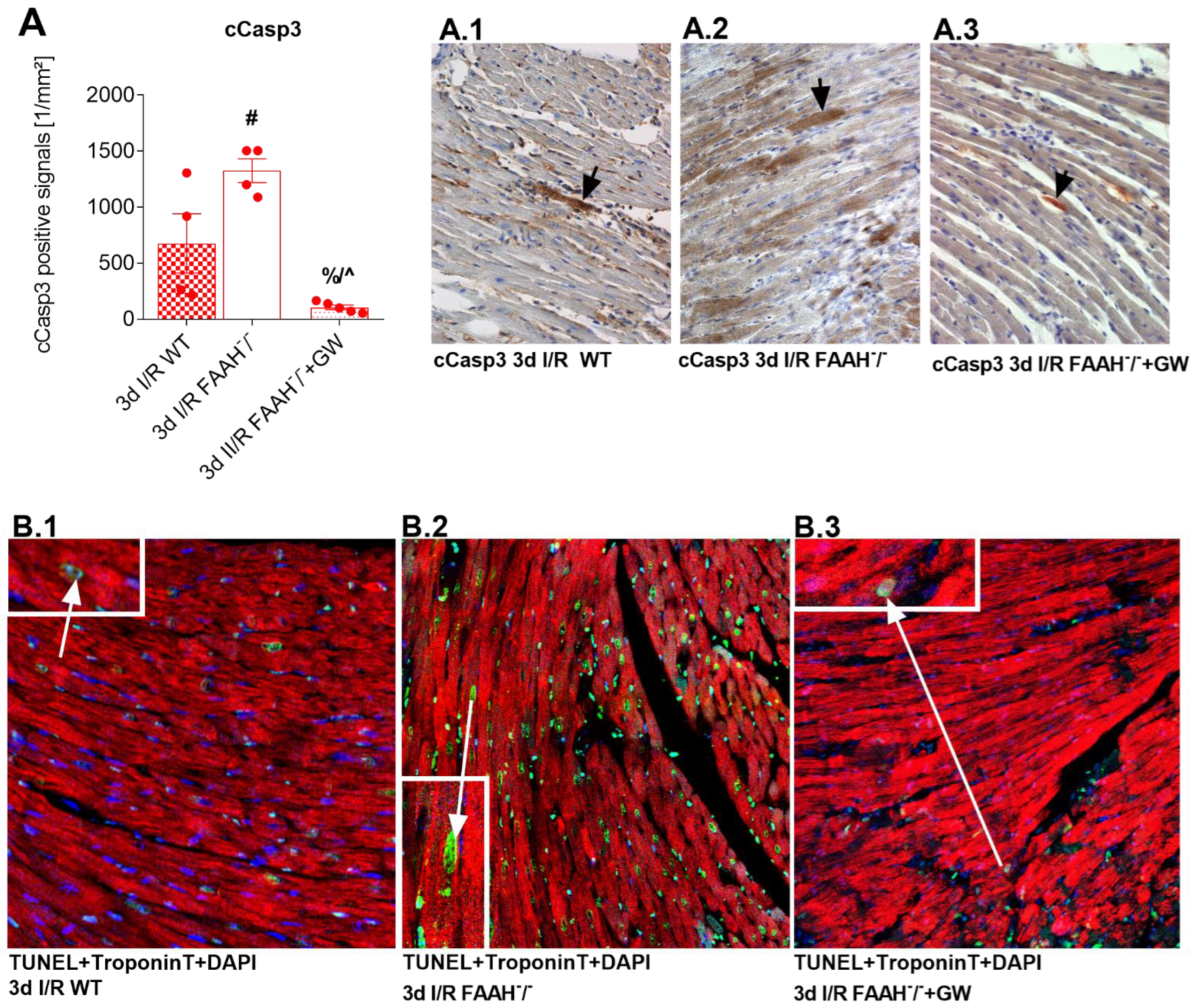 Ijms 23 12690 g005 Ijms 23 12690 g005