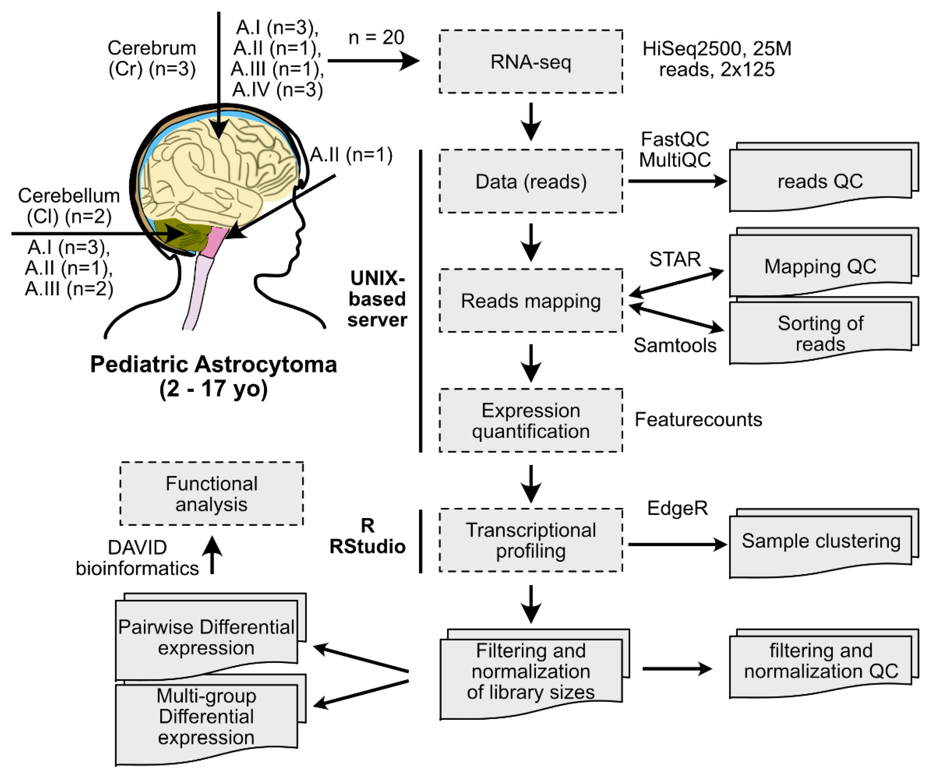 Ijms 23 12696 g001 Ijms 23 12696 g001