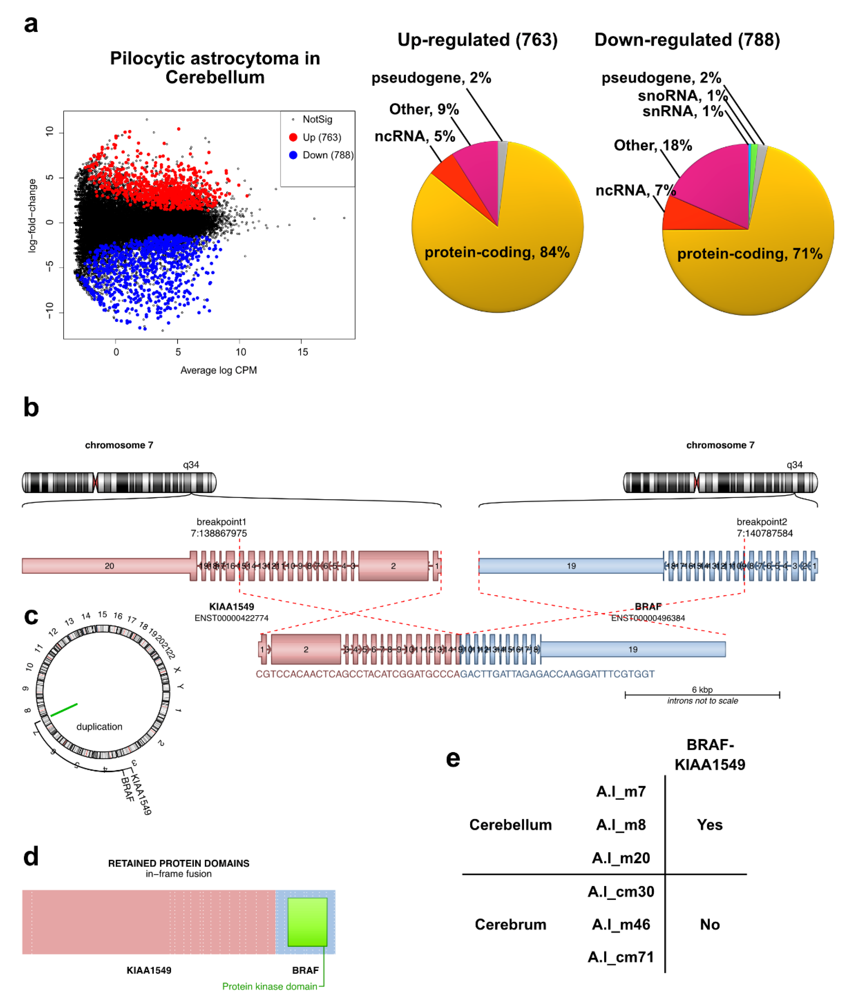 Ijms 23 12696 g003 Ijms 23 12696 g003