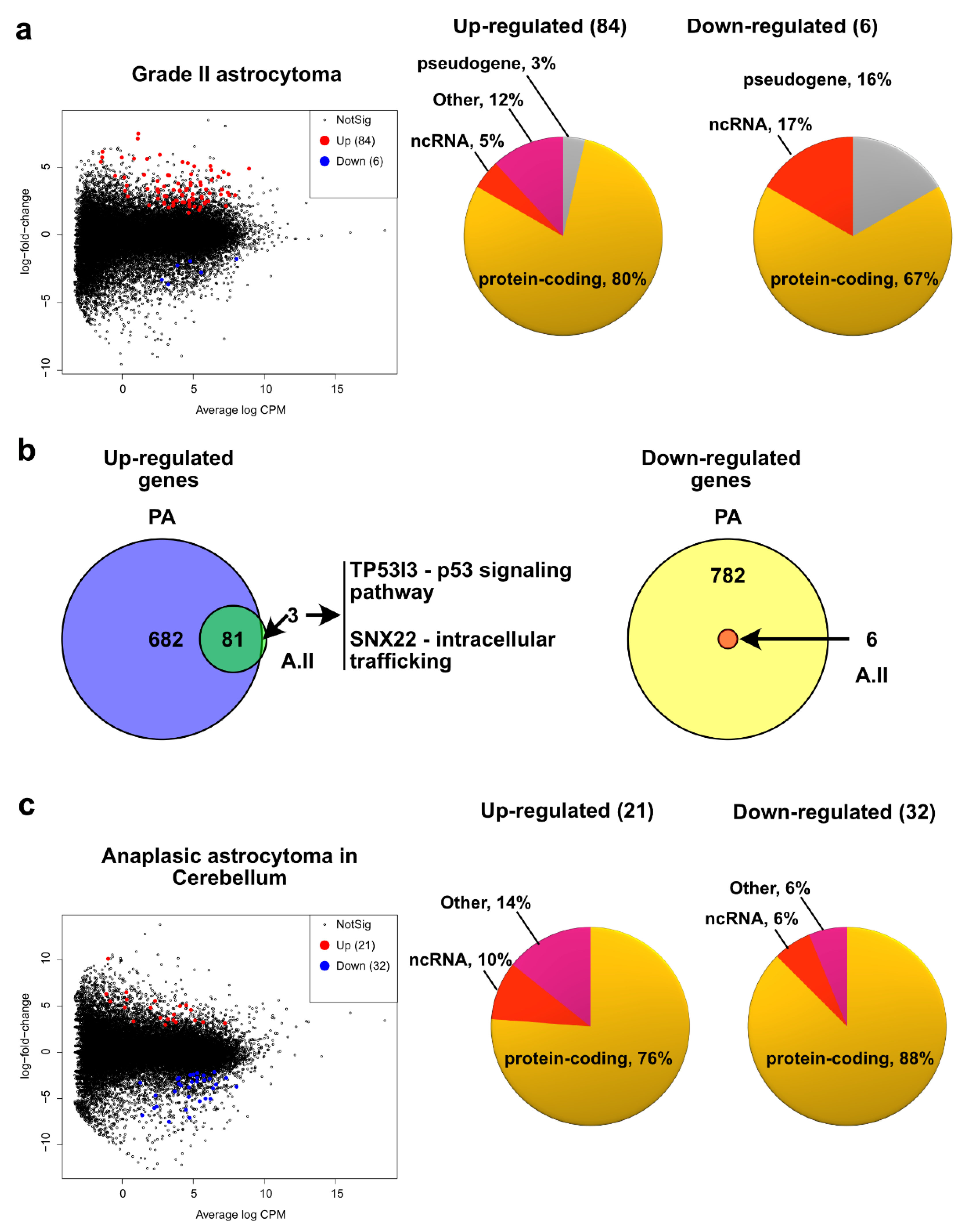 Ijms 23 12696 g004 Ijms 23 12696 g004