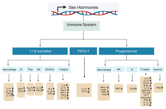Epigenetics and Pregnancy: Conditional Snapshot or Rolling Event
