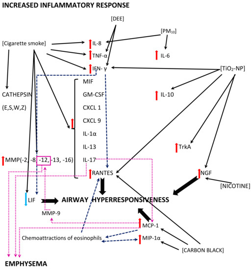 rsv and cigarette smoke Molecular Mechanisms of RSV and Air Pollution Interaction: A Scoping Review