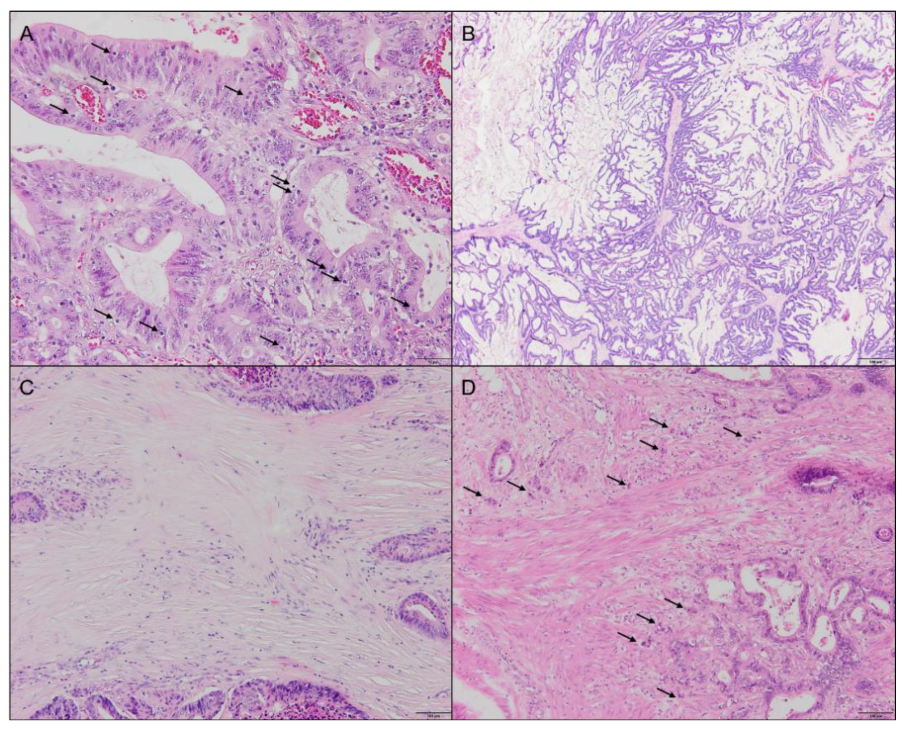 Ijms 23 12707 g003 Ijms 23 12707 g003