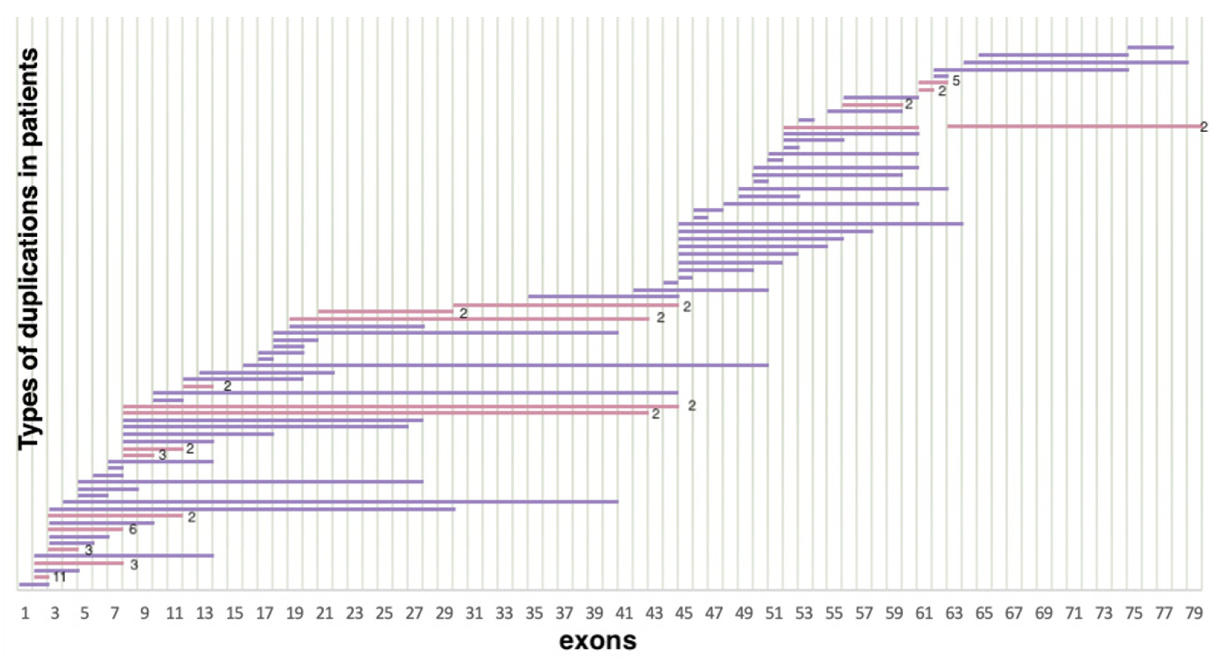 Ijms 23 12710 g003 Ijms 23 12710 g003