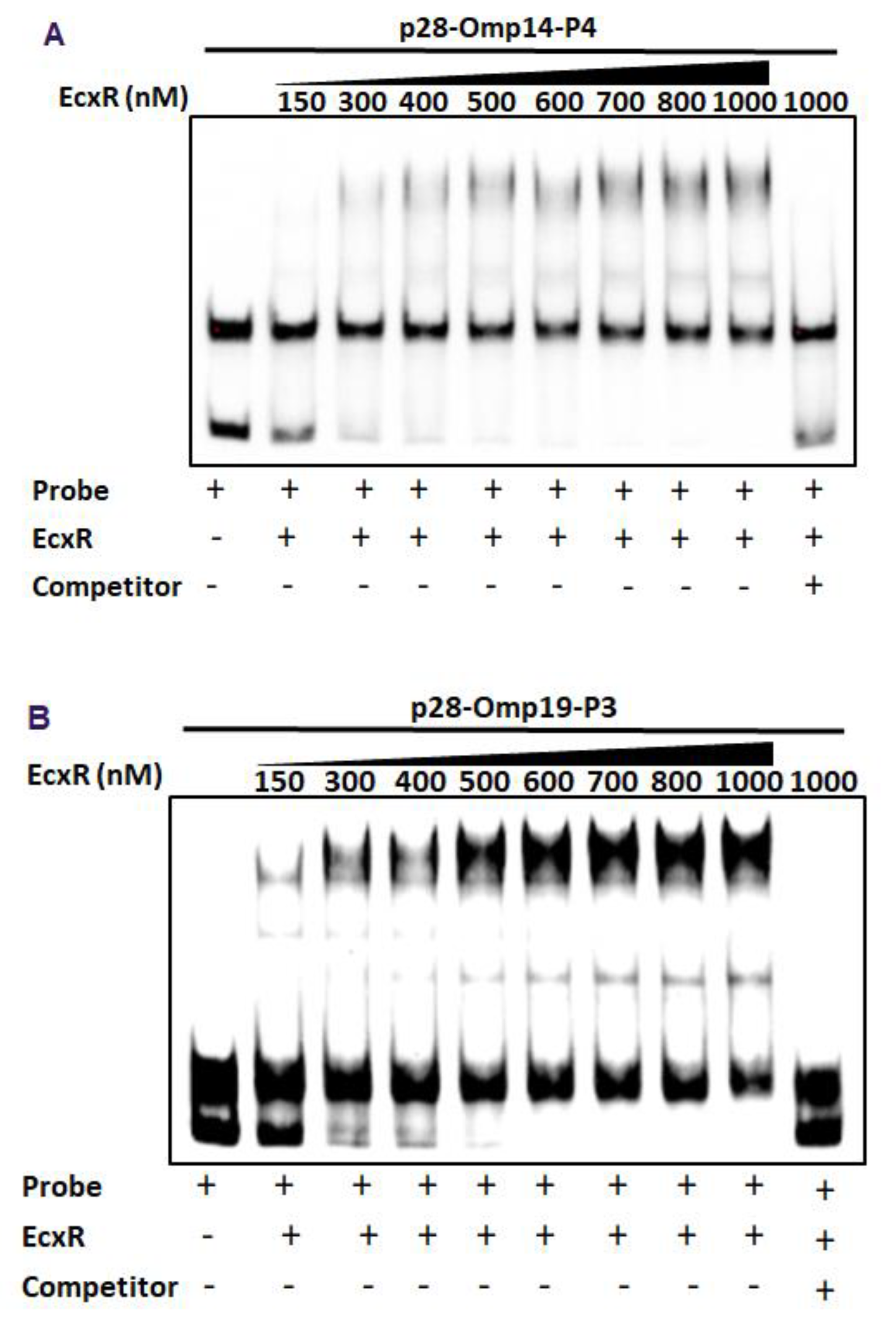 Ijms 23 12719 g004 Ijms 23 12719 g004